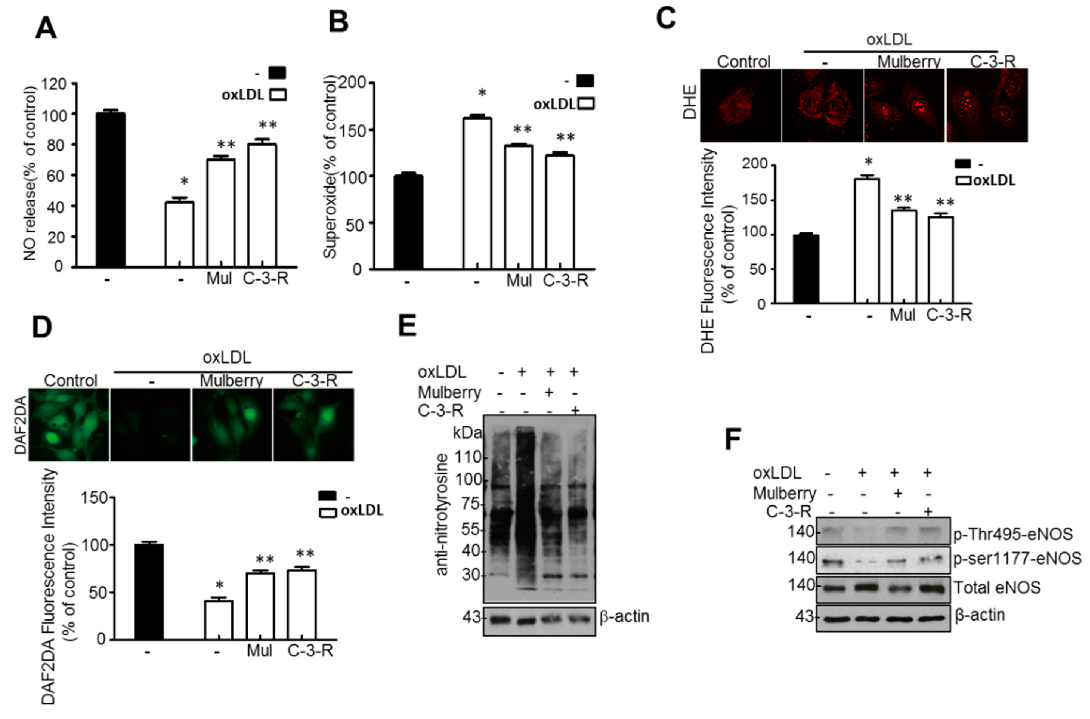 Nutrients 11 00978 g008