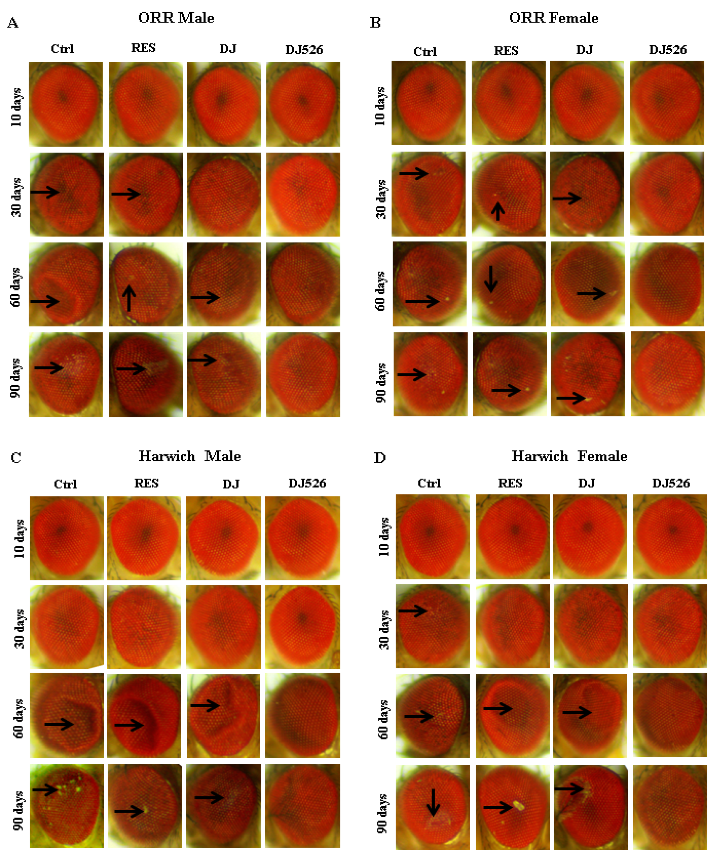 Nutrients 11 00983 g004 Nutrients 11 00983 g004