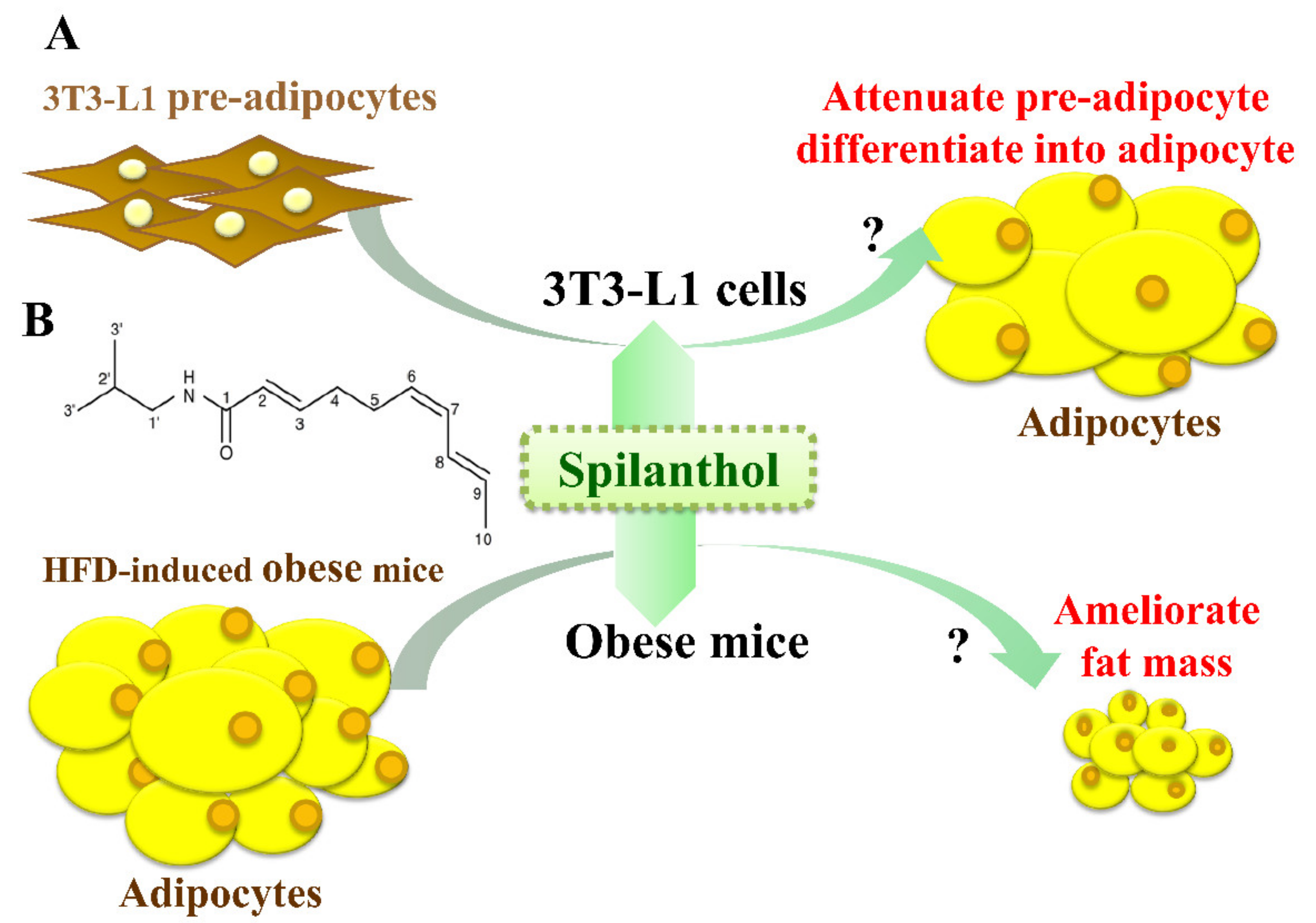 Nutrients 11 00991 g001 Nutrients 11 00991 g001