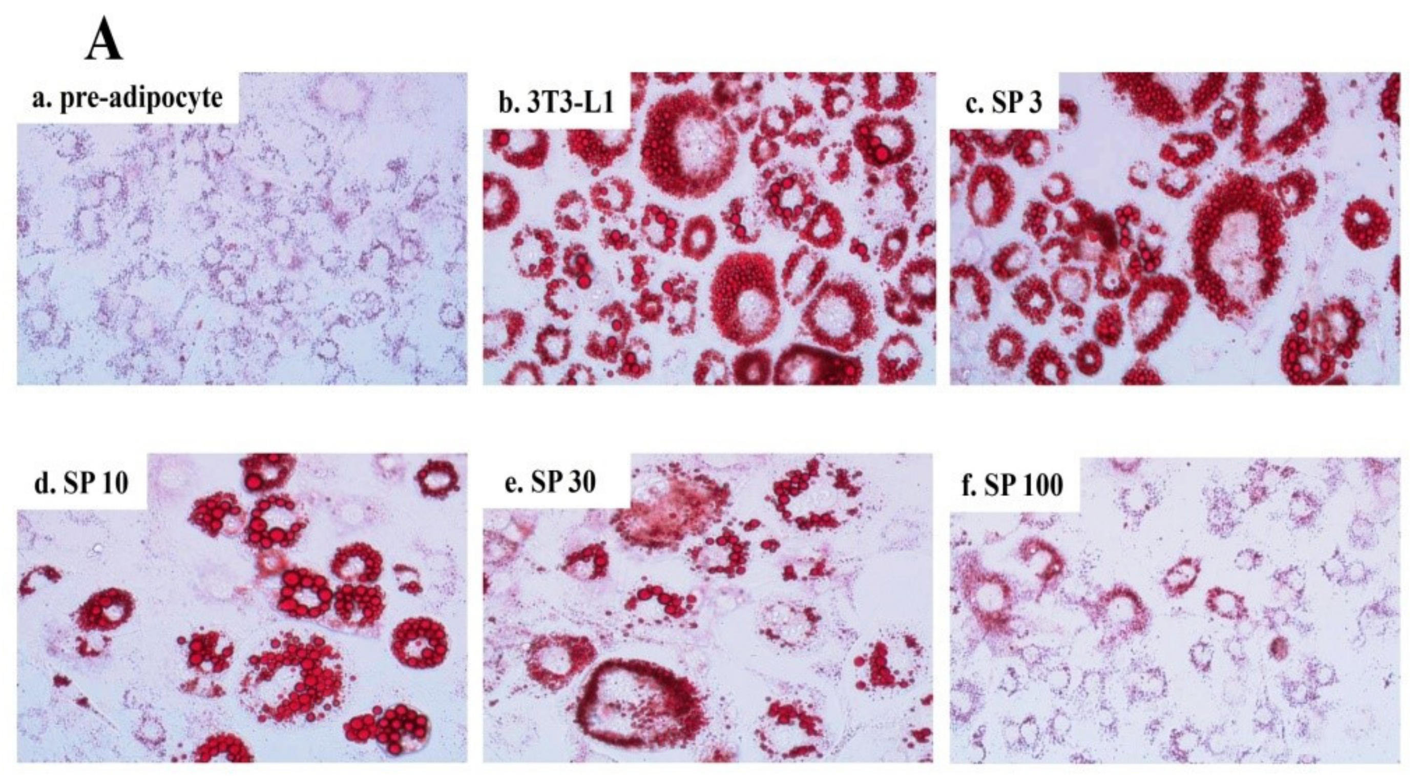 Nutrients 11 00991 g002a Nutrients 11 00991 g002a
