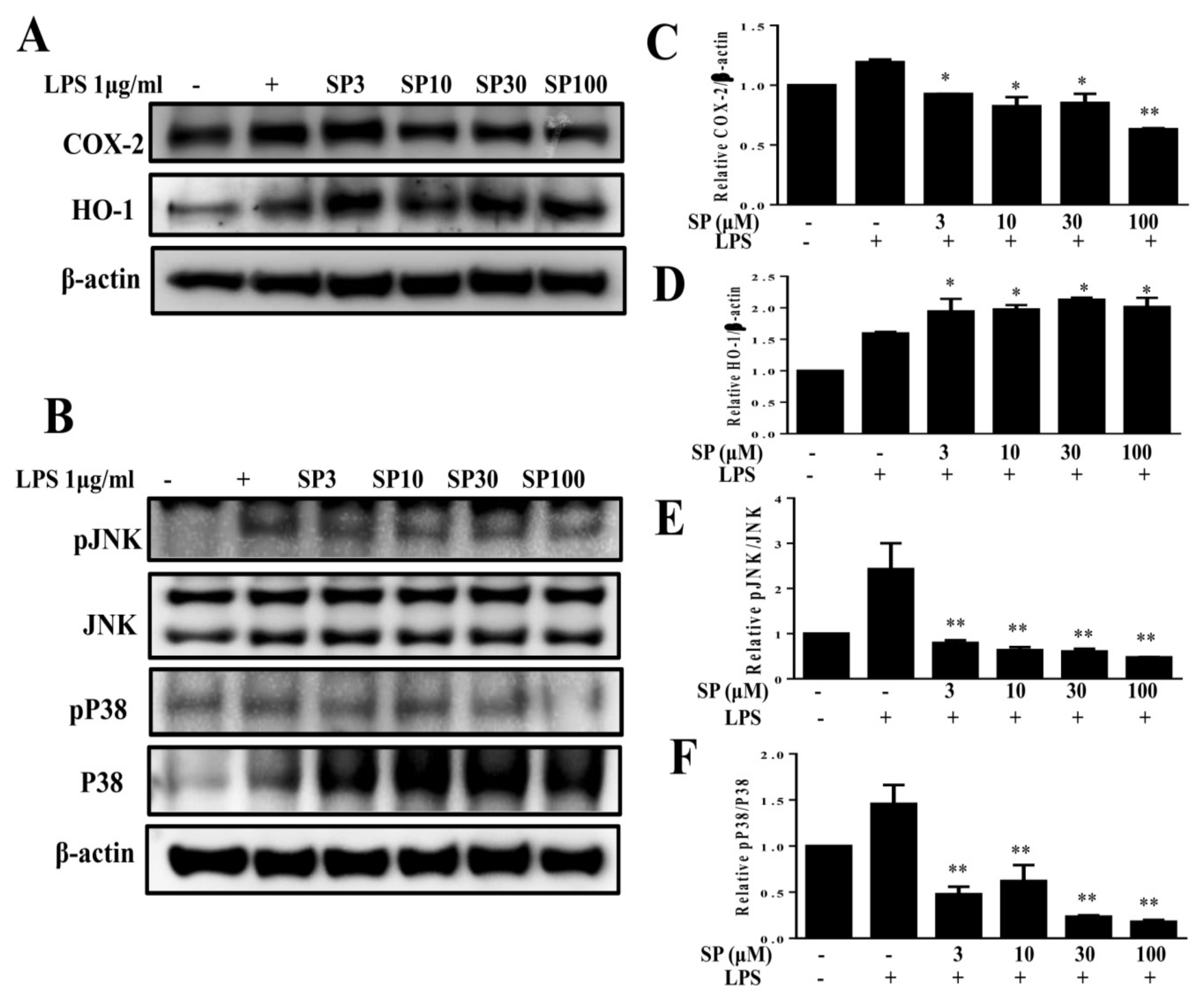 Nutrients 11 00991 g004 Nutrients 11 00991 g004