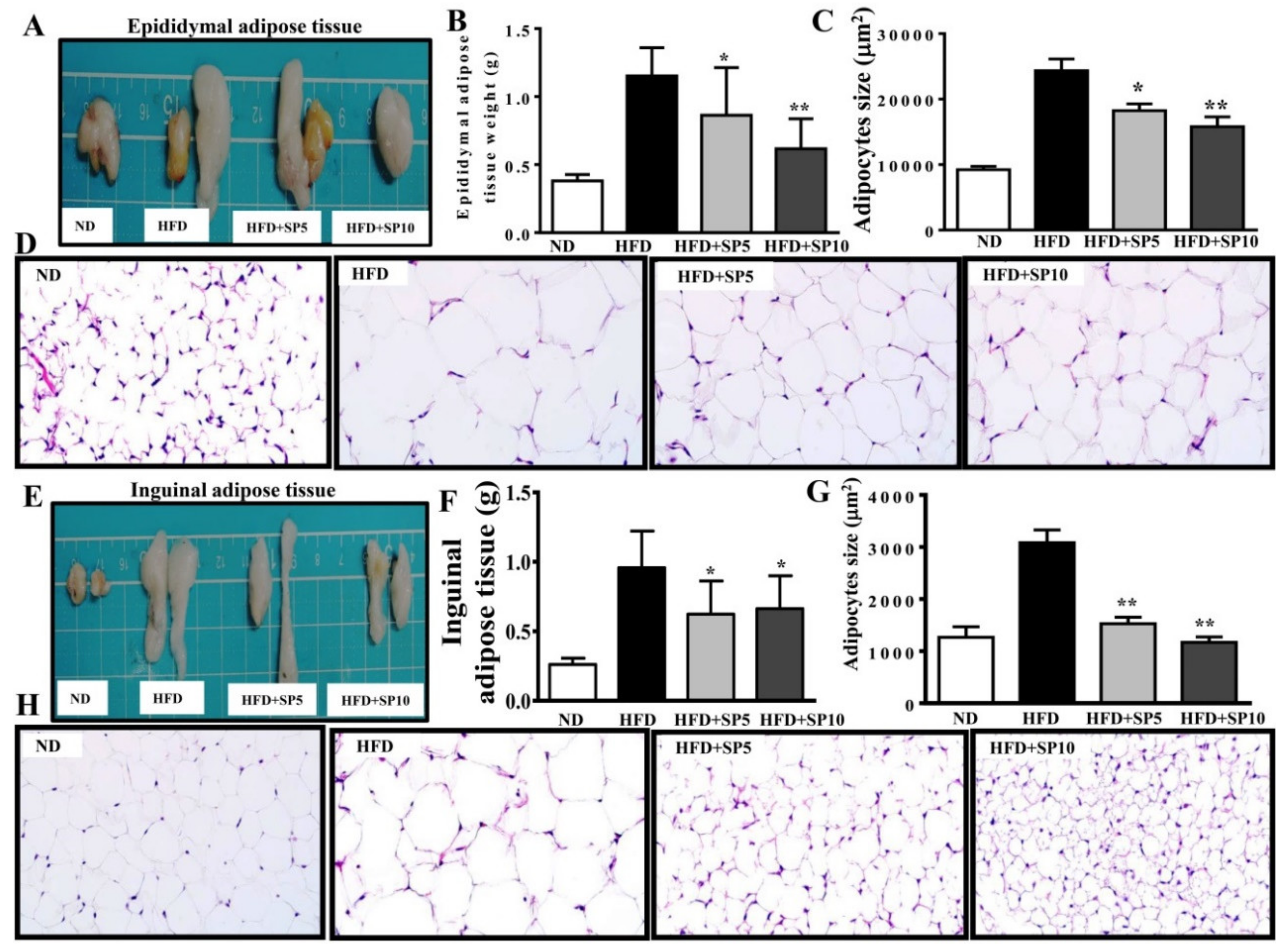 Nutrients 11 00991 g006 Nutrients 11 00991 g006