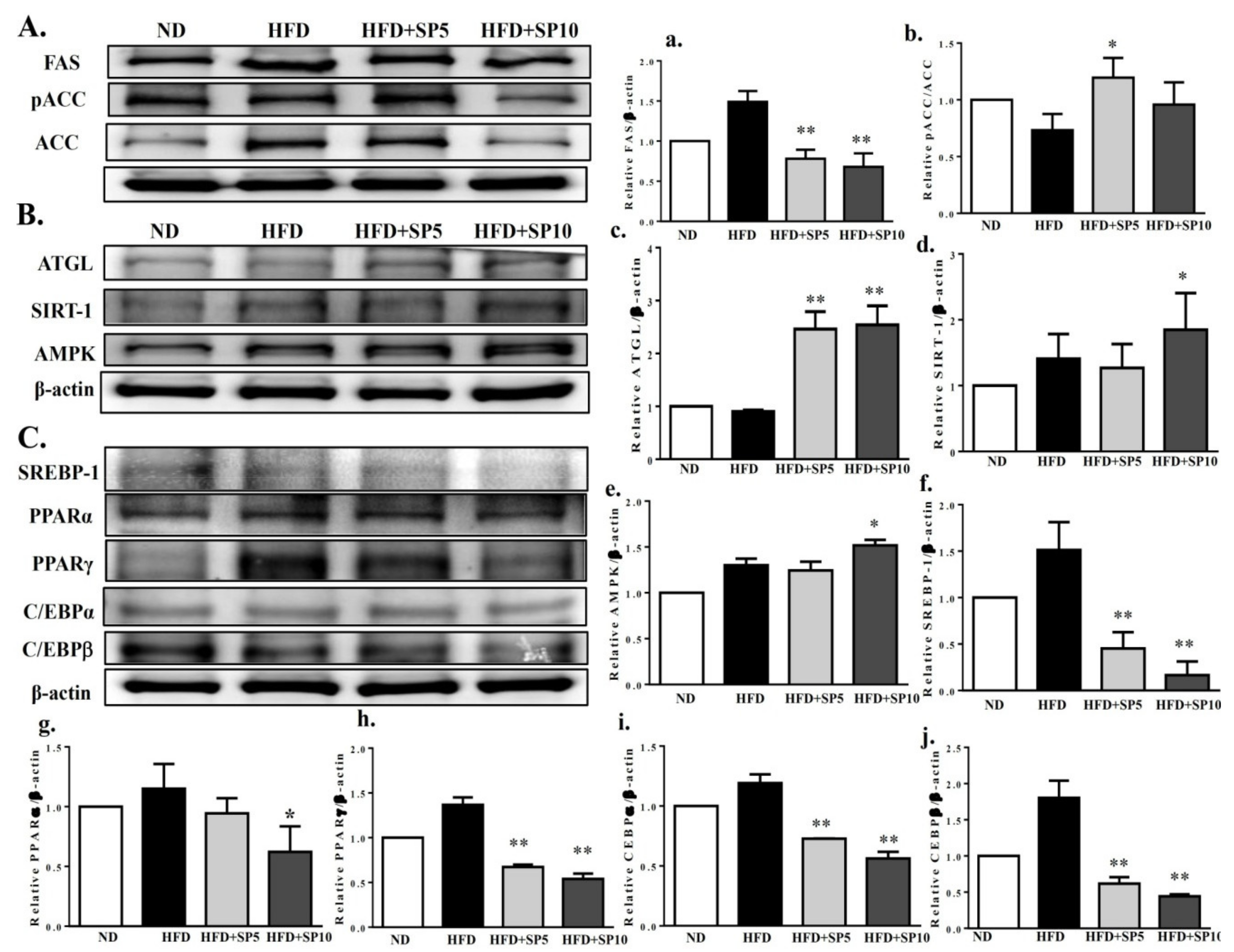 Nutrients 11 00991 g008 Nutrients 11 00991 g008