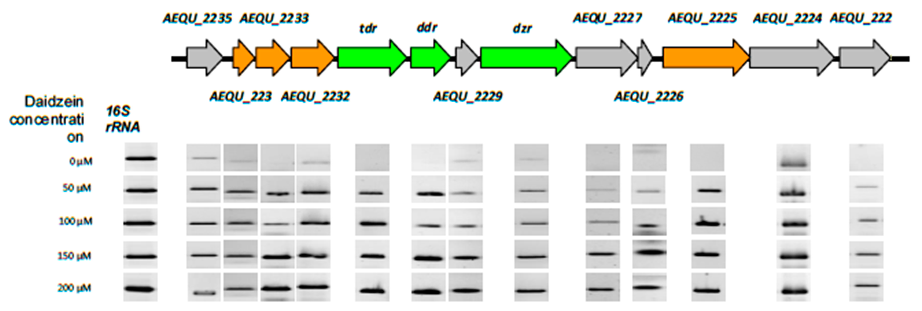 Nutrients 11 00993 g003 Nutrients 11 00993 g003