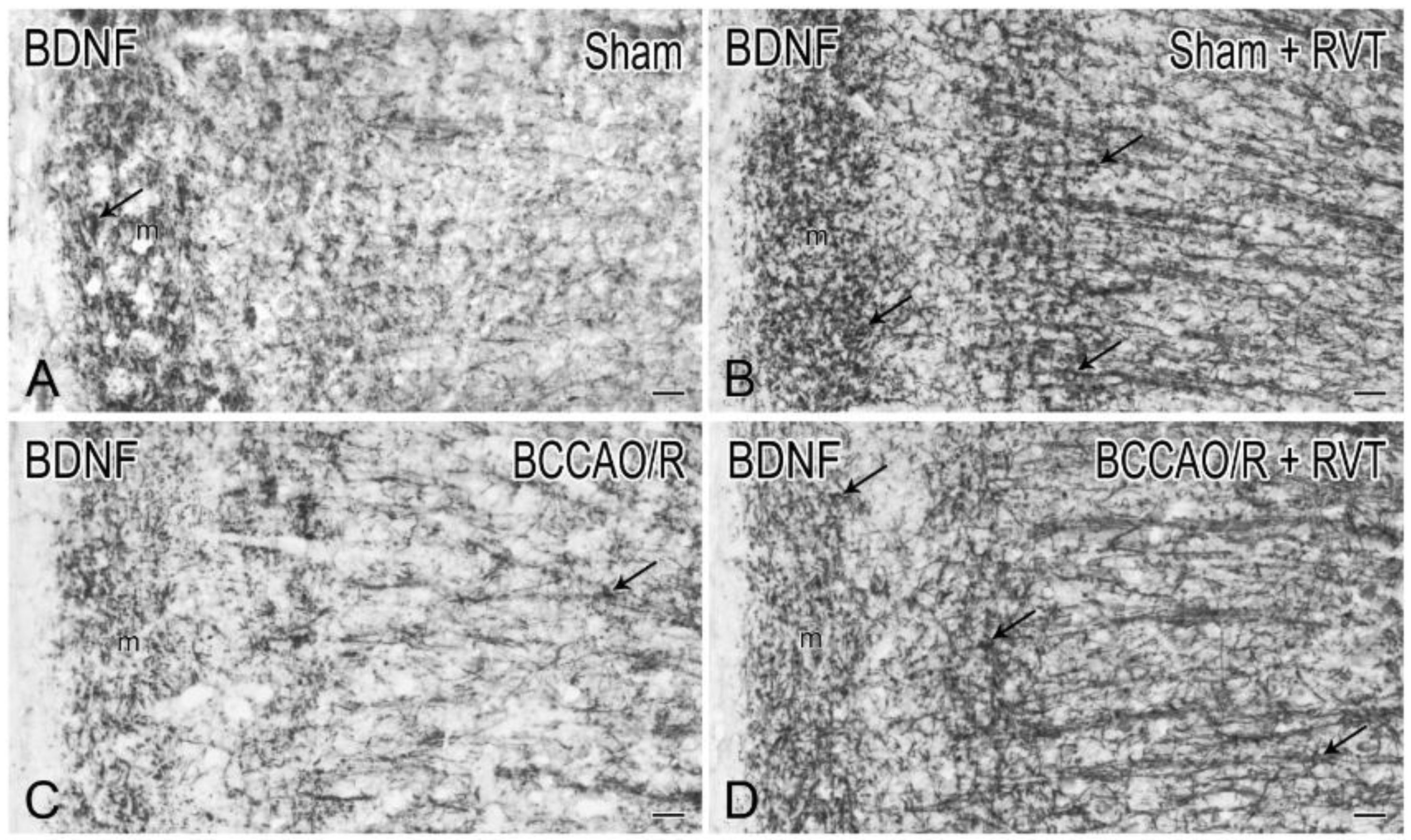 Nutrients 11 01000 g002
