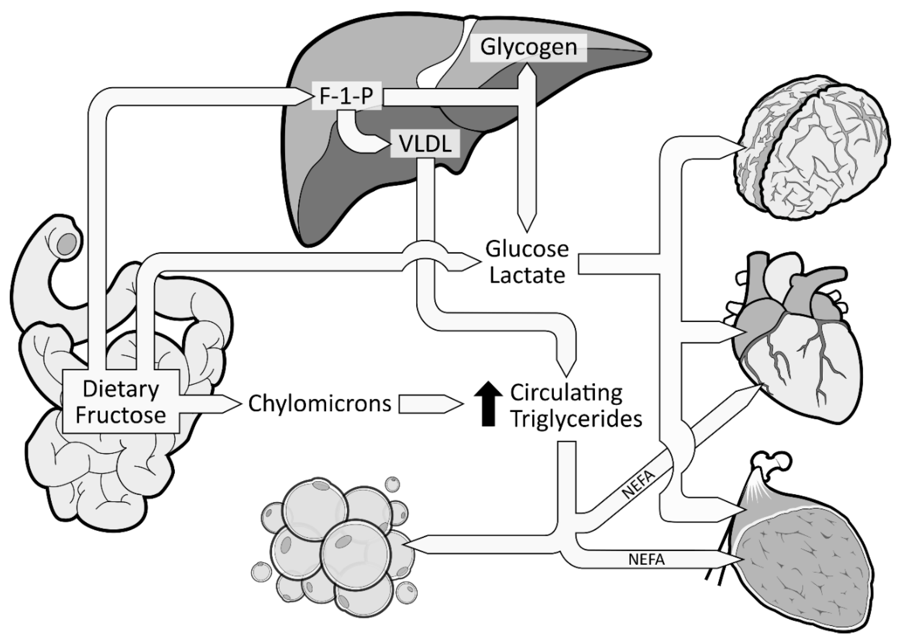 Nutrients 11 01006 g002