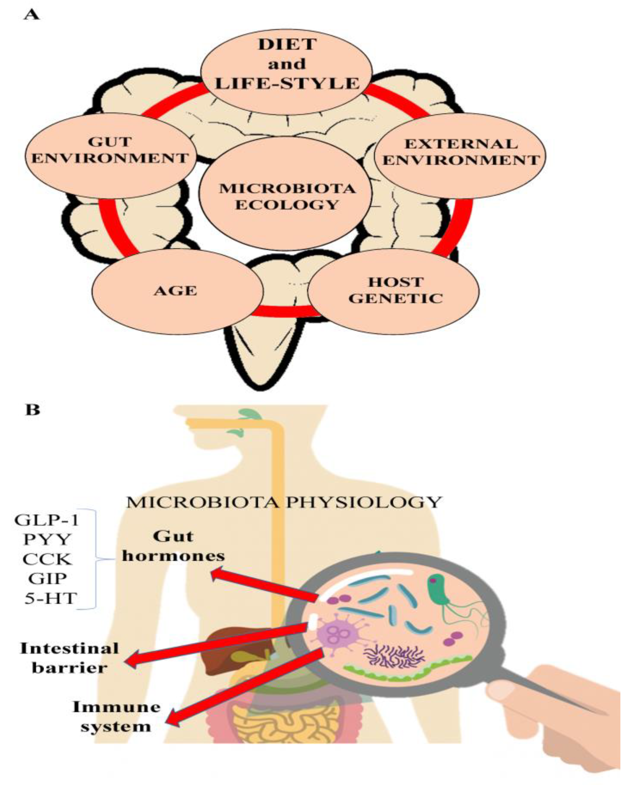 Nutrients 11 01033 g001