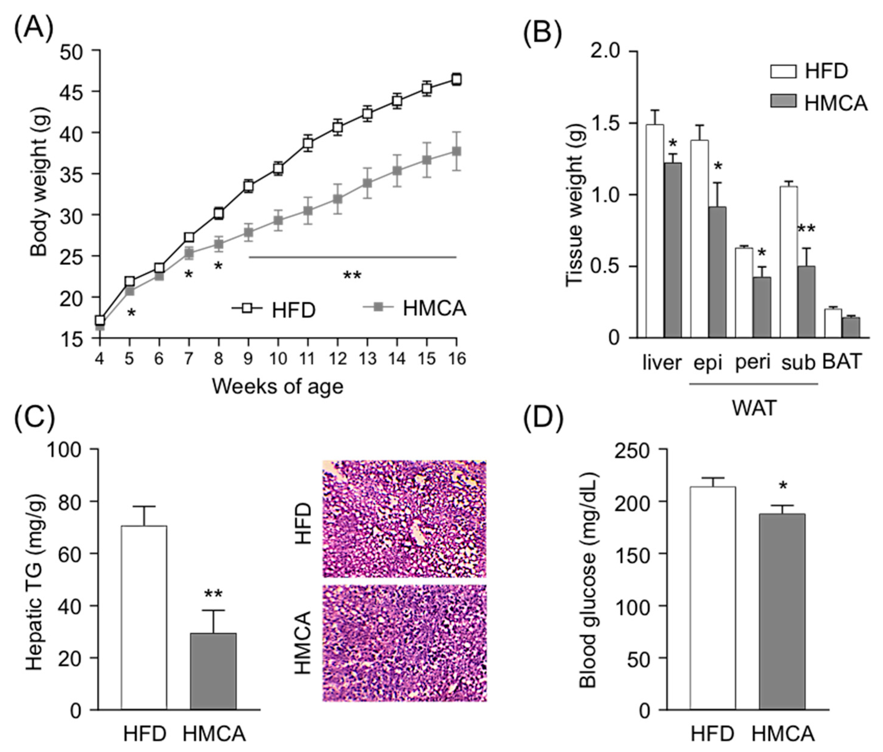 Nutrients 11 01036 g001