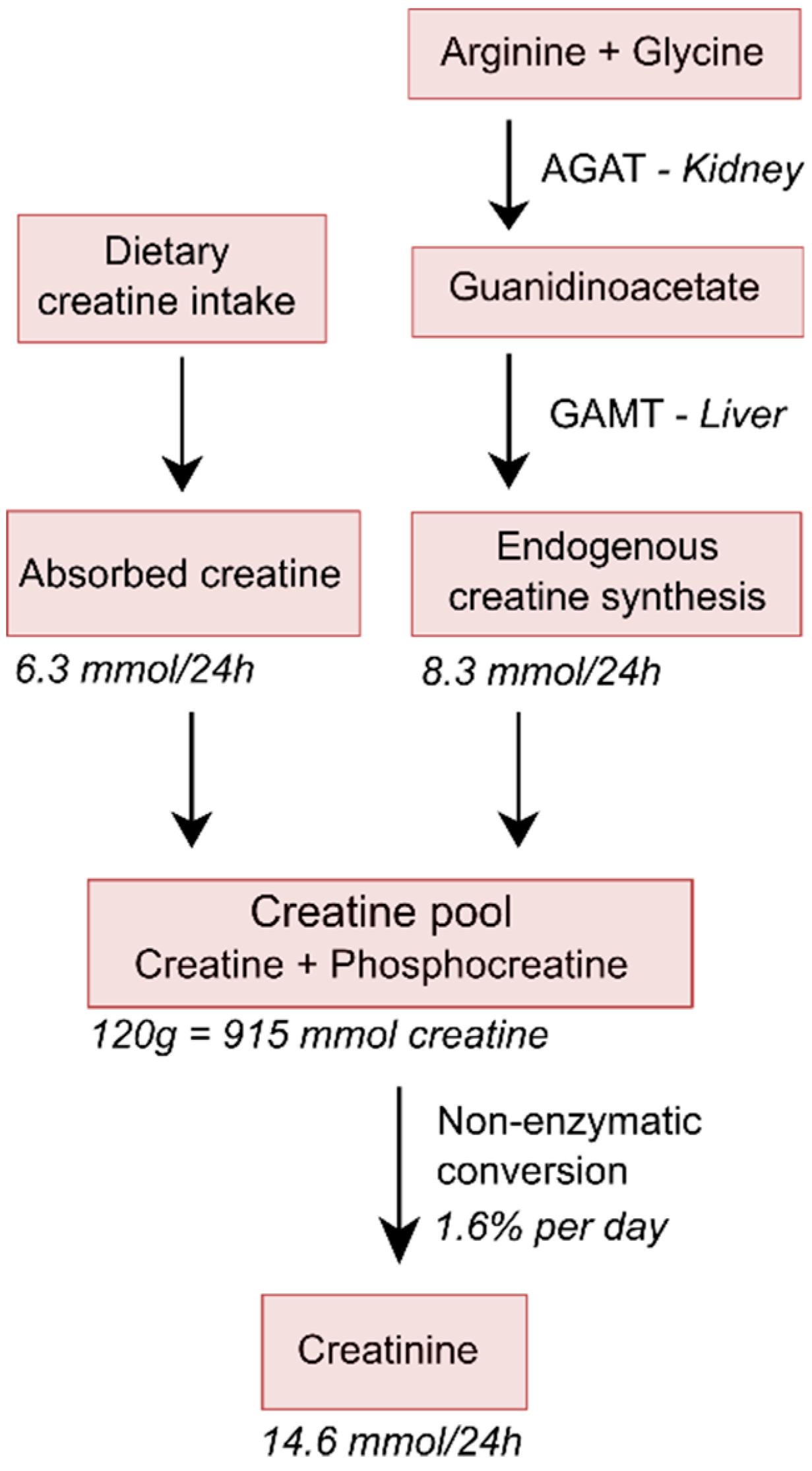 Nutrients 11 01044 g001 Nutrients 11 01044 g001