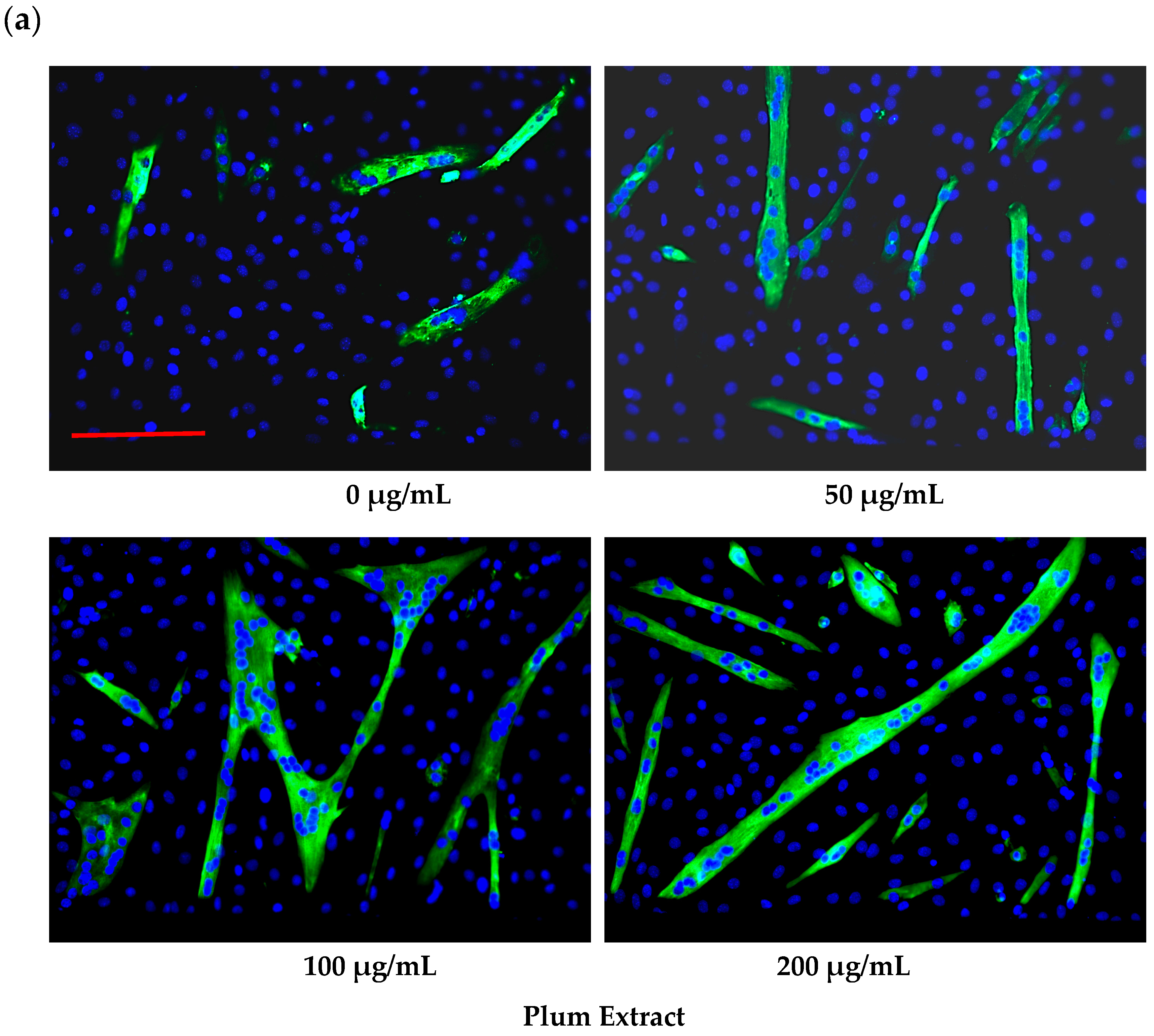 Nutrients 11 01077 g002a
