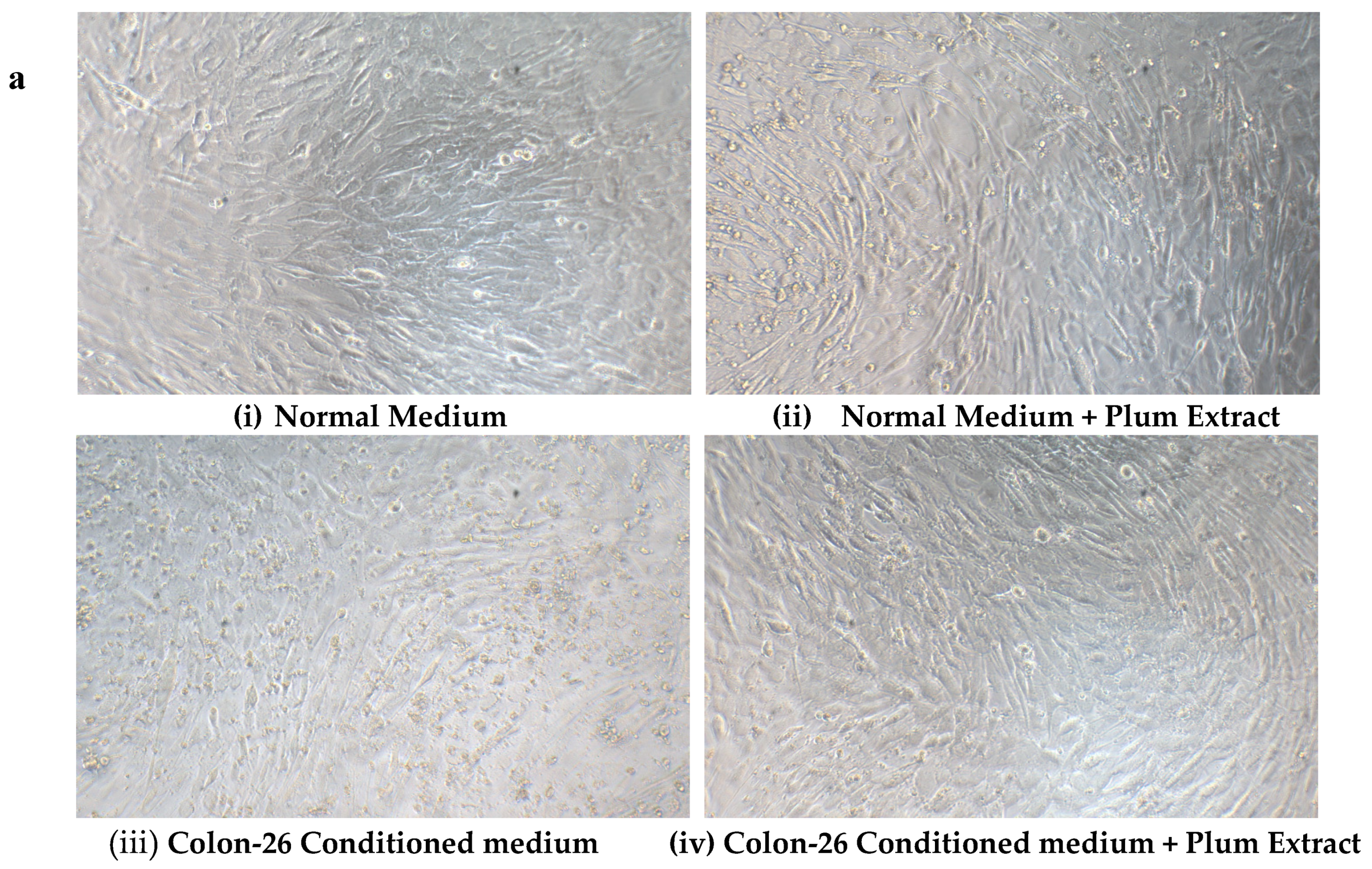 Nutrients 11 01077 g008a