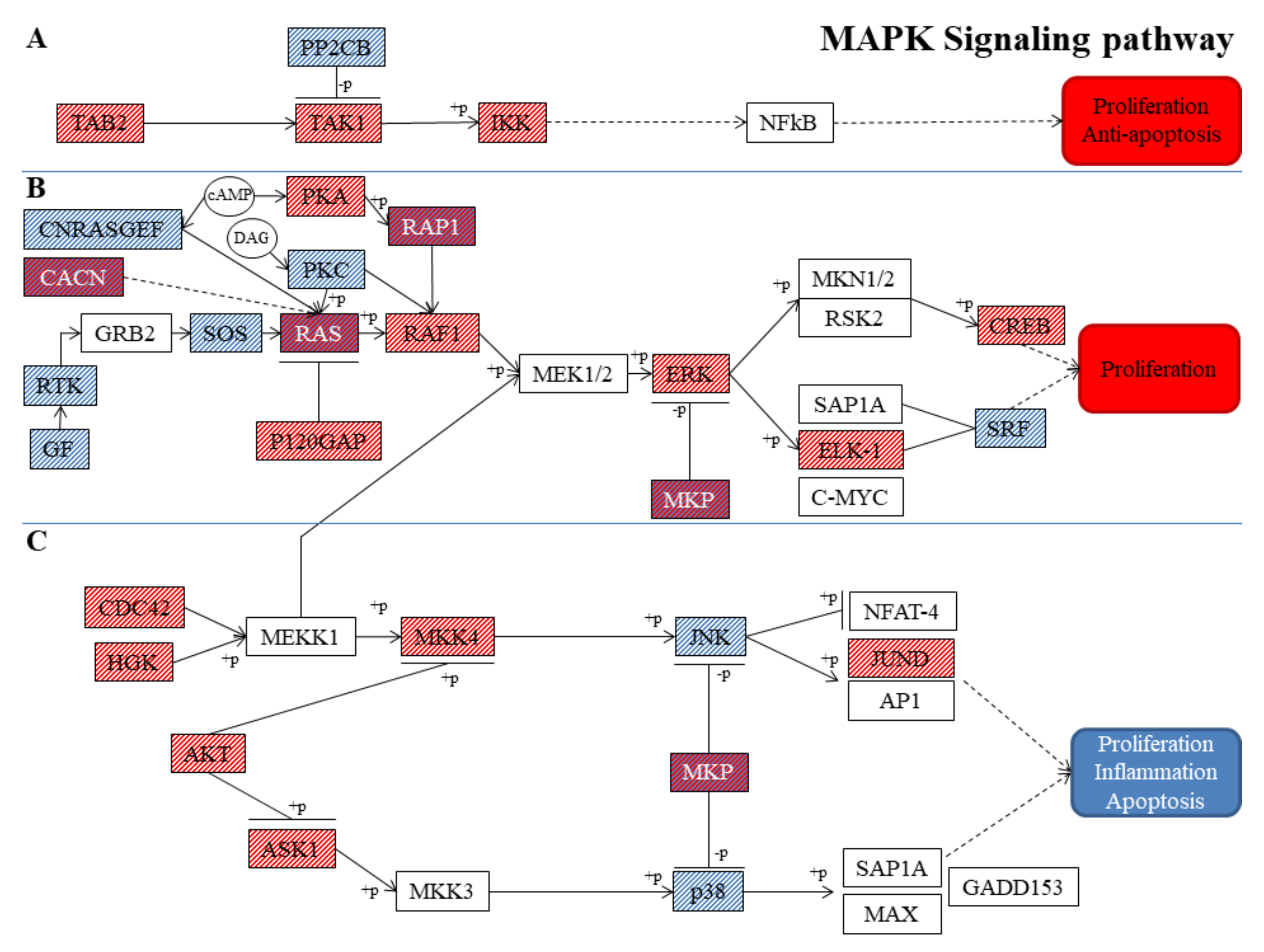 Nutrients 11 01081 g001