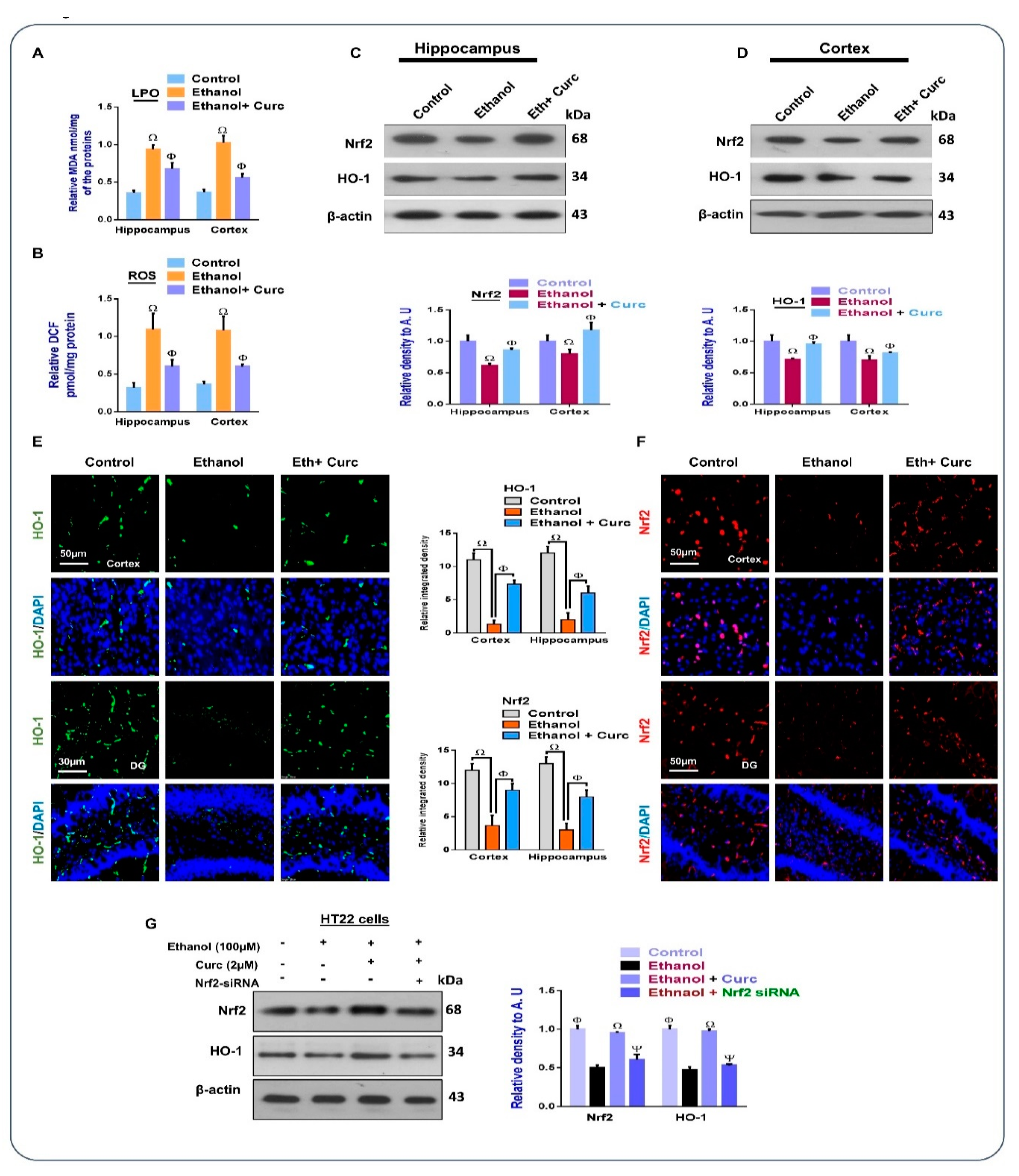 Nutrients 11 01082 g001