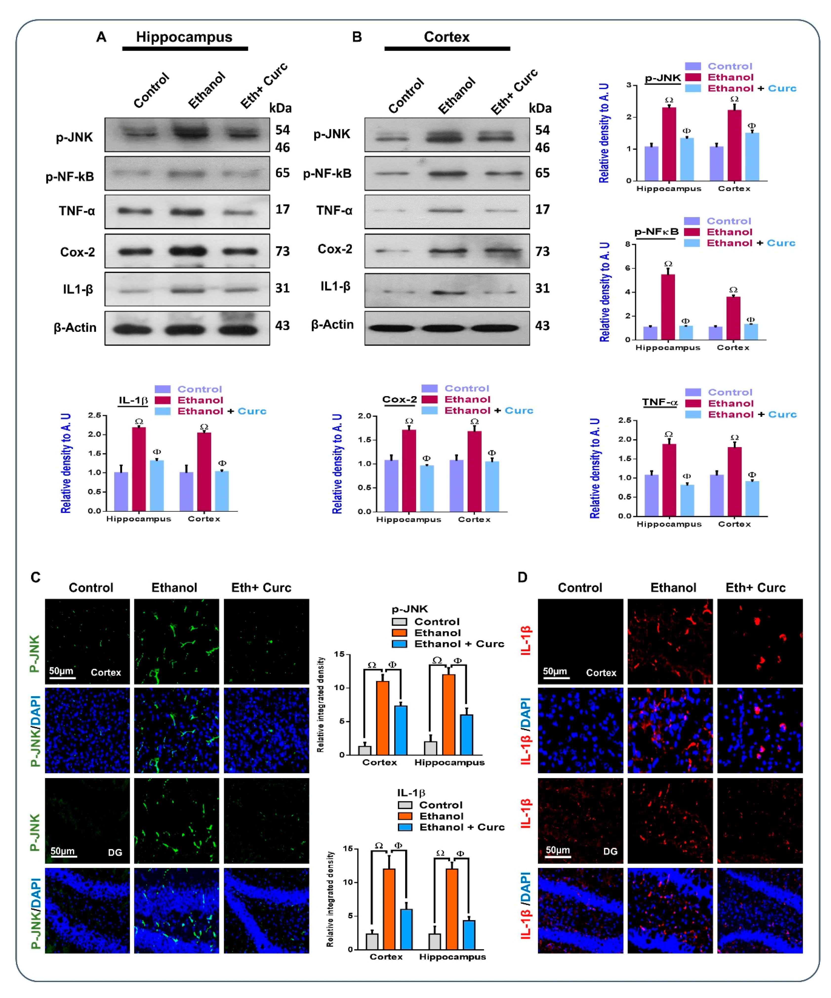 Nutrients 11 01082 g003