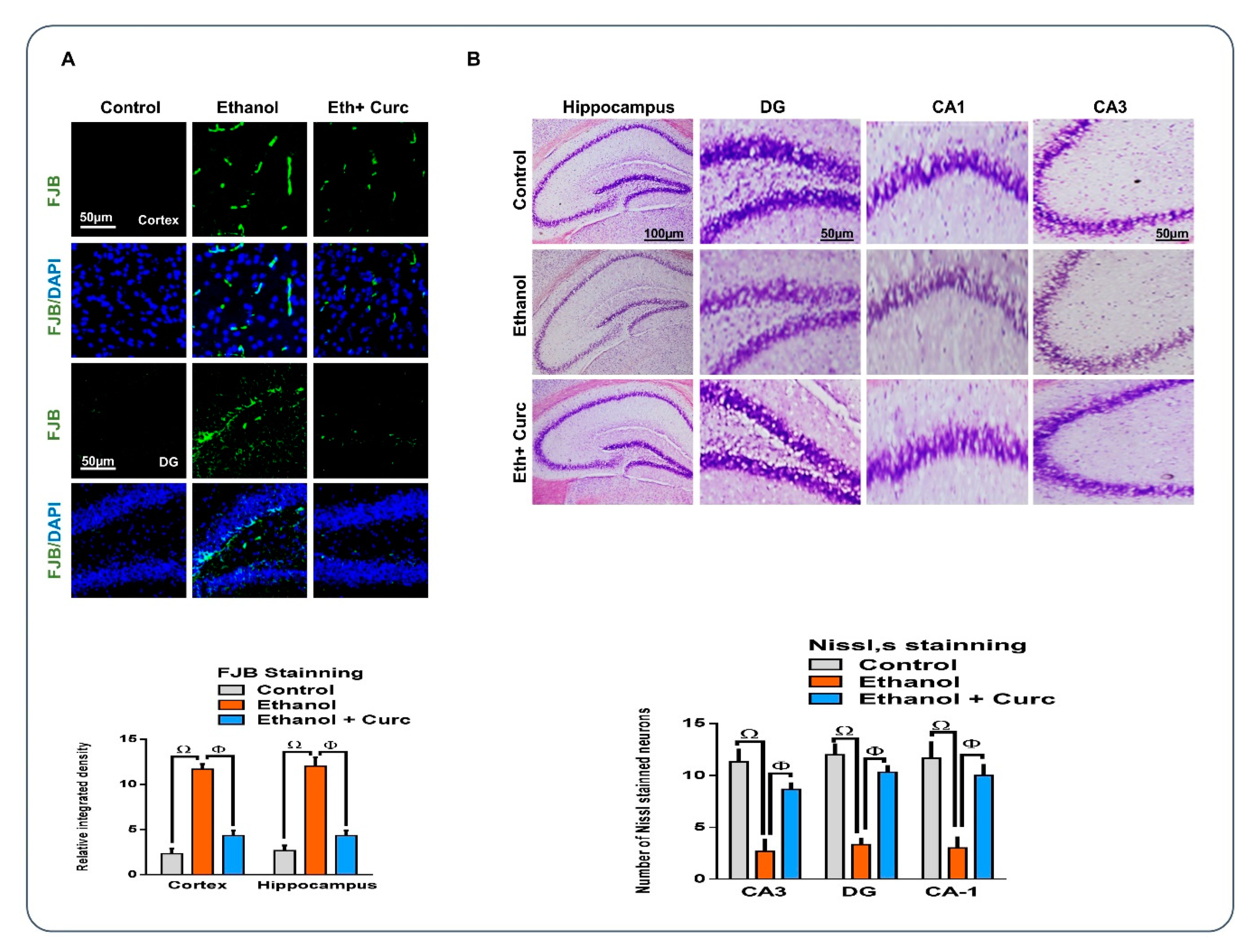 Nutrients 11 01082 g005
