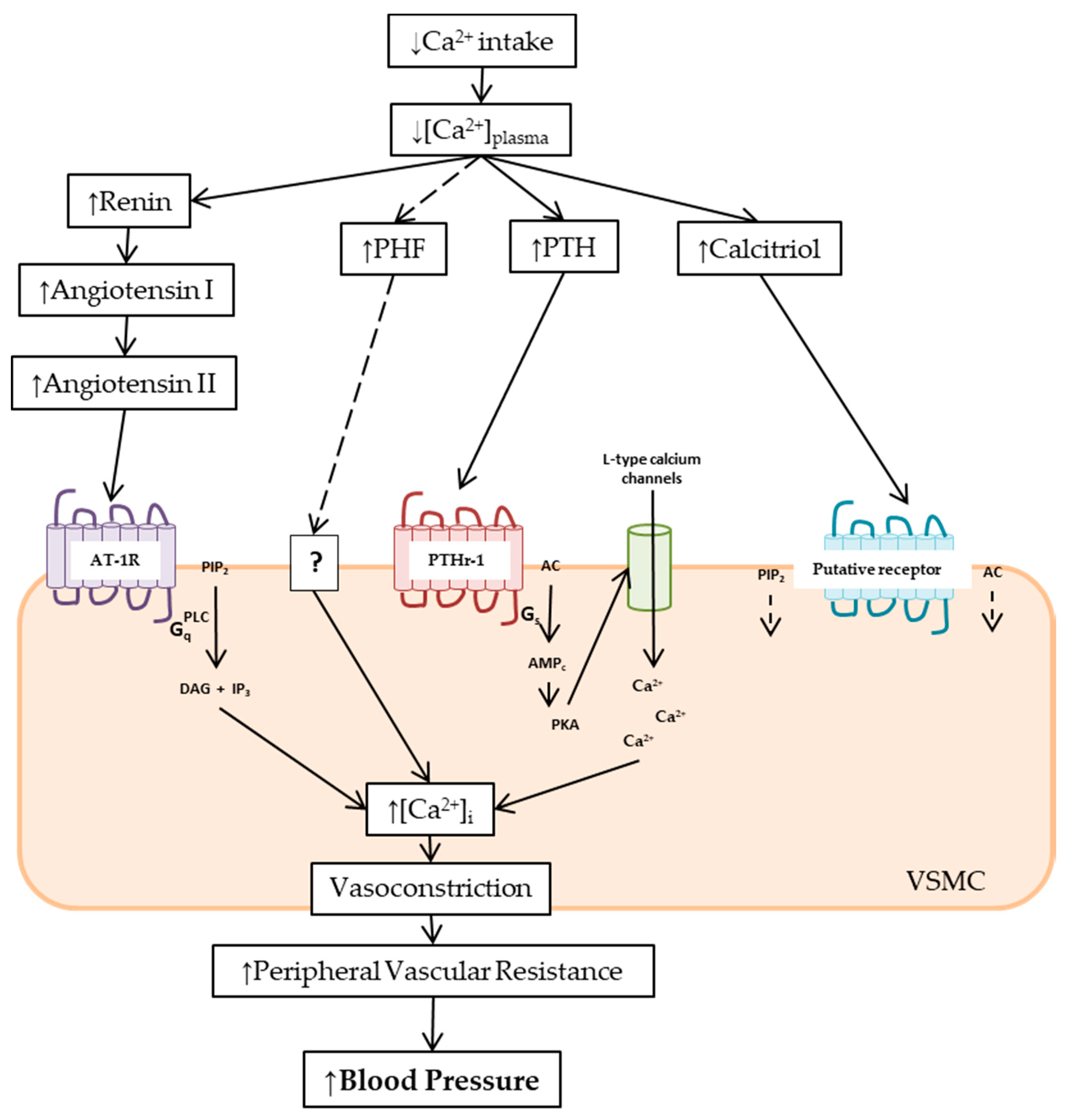 Nutrients 11 01112 g001 Nutrients 11 01112 g001