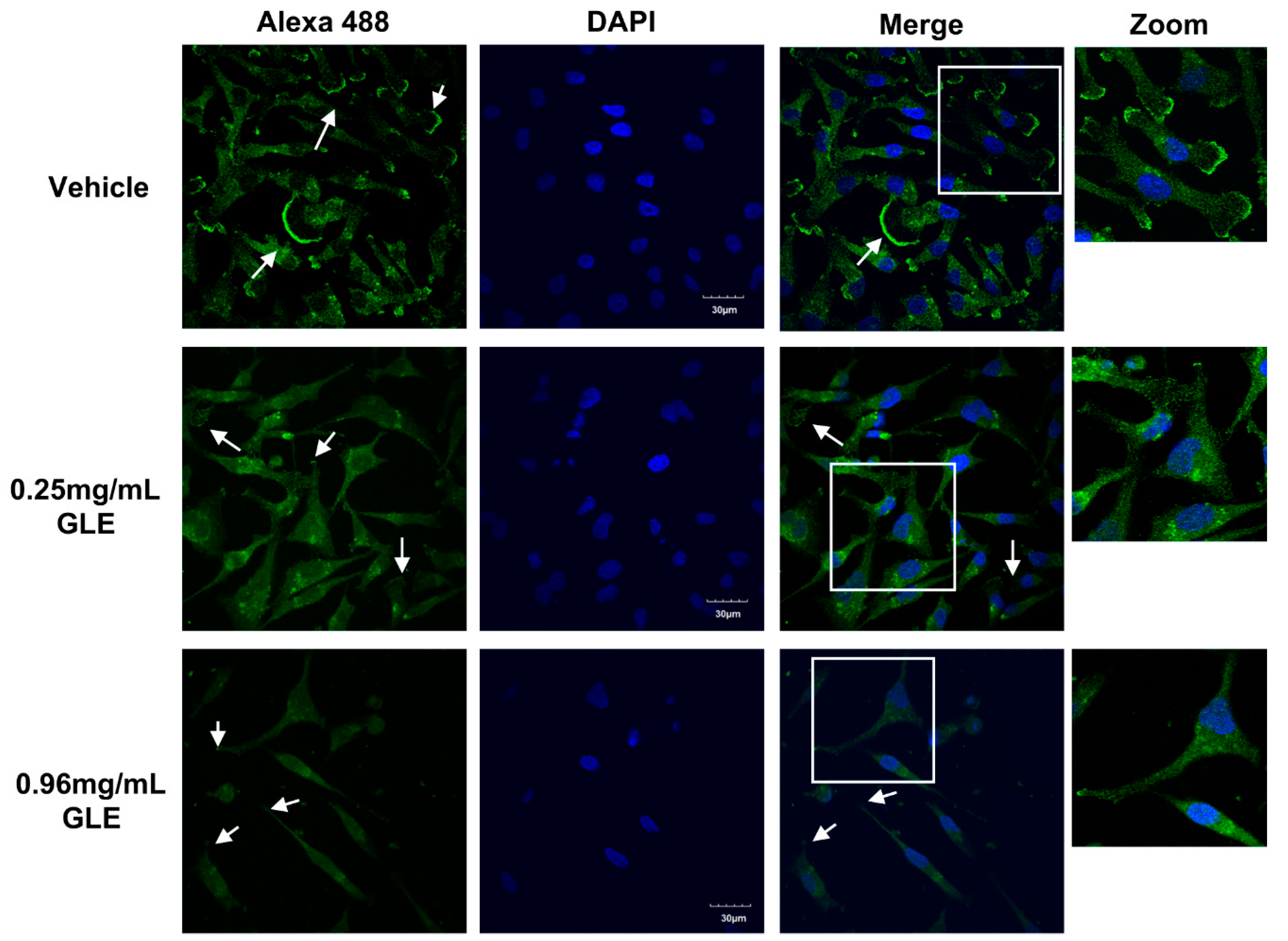 Nutrients 11 01116 g005