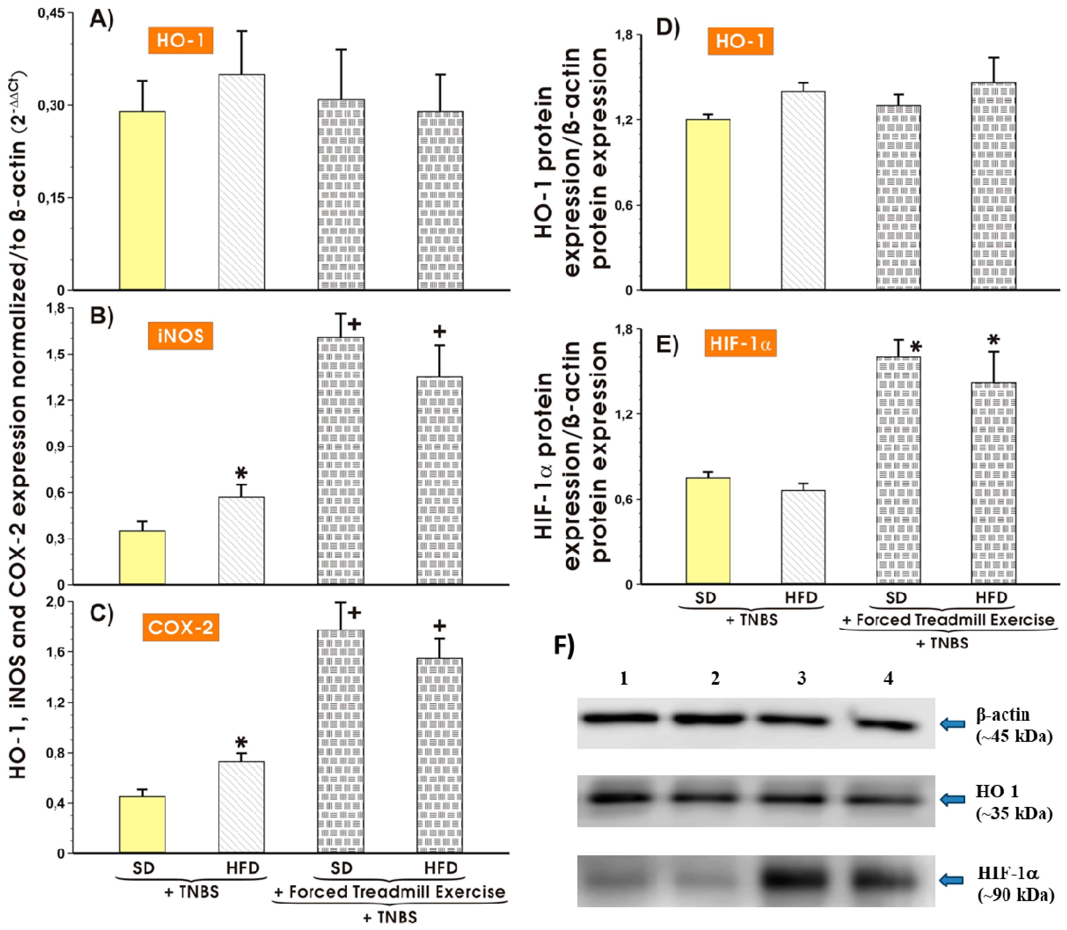 Nutrients 11 01127 g006 Nutrients 11 01127 g006