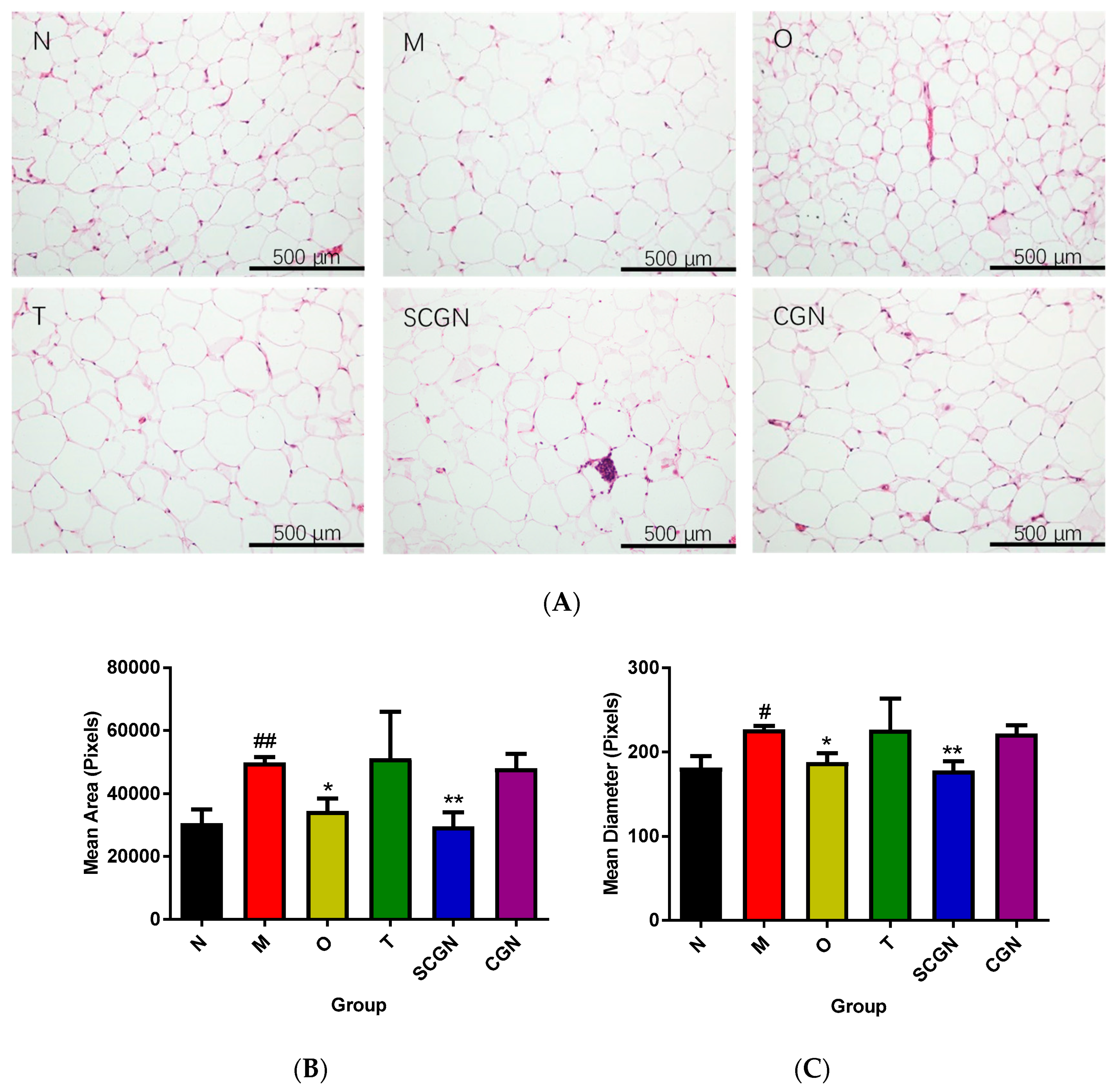 Nutrients 11 01133 g002