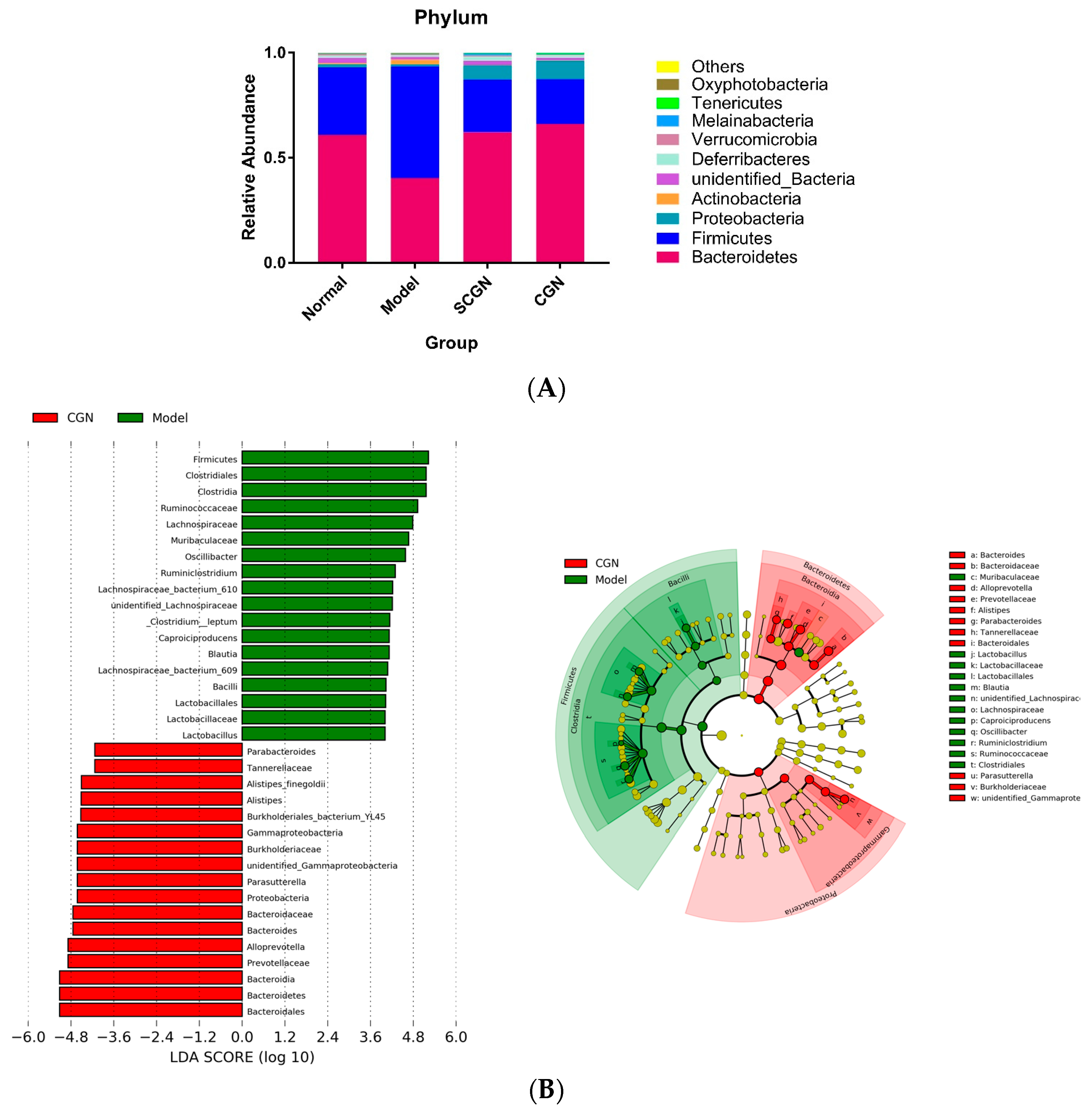Nutrients 11 01133 g007a