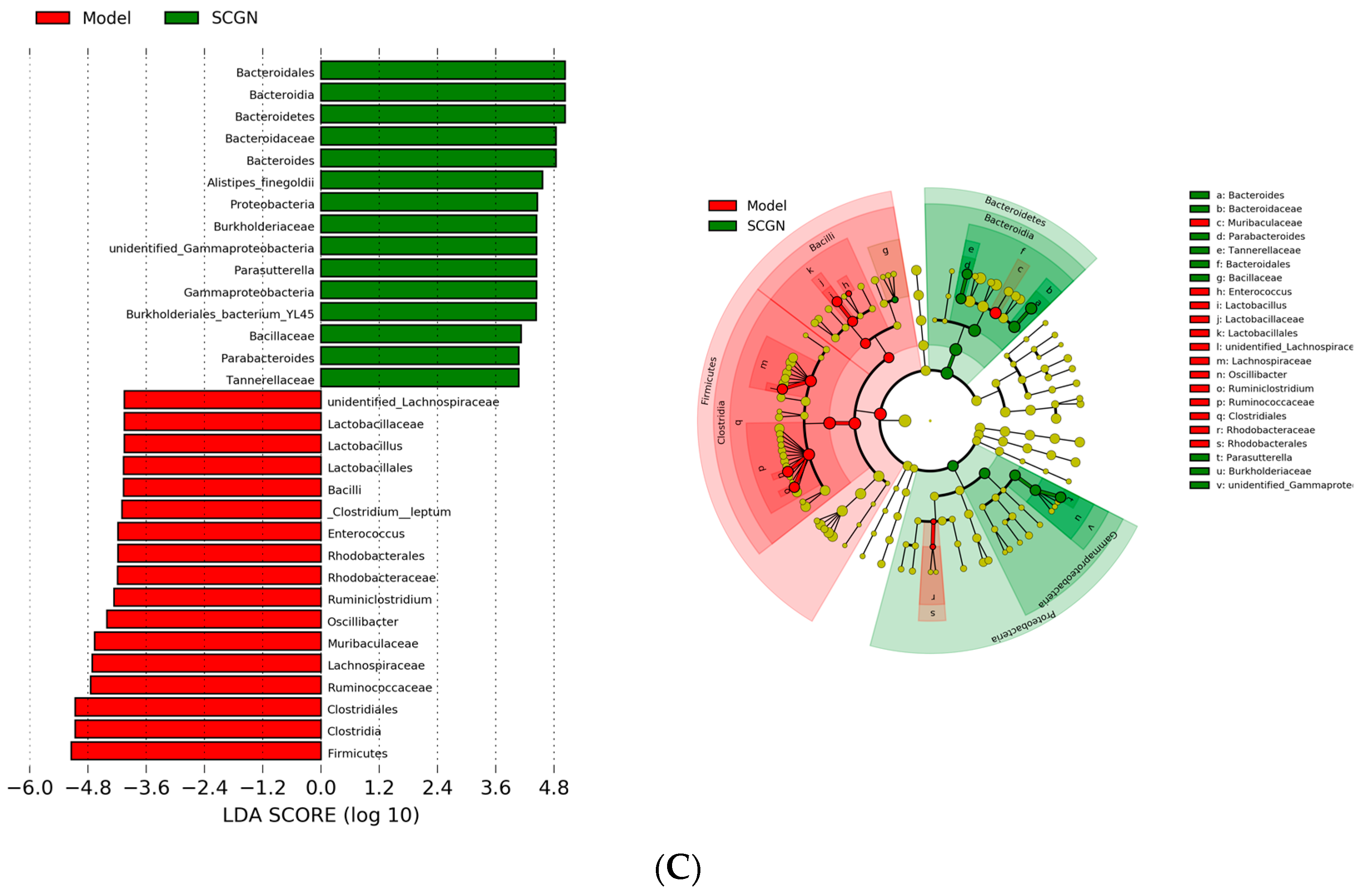 Nutrients 11 01133 g007b