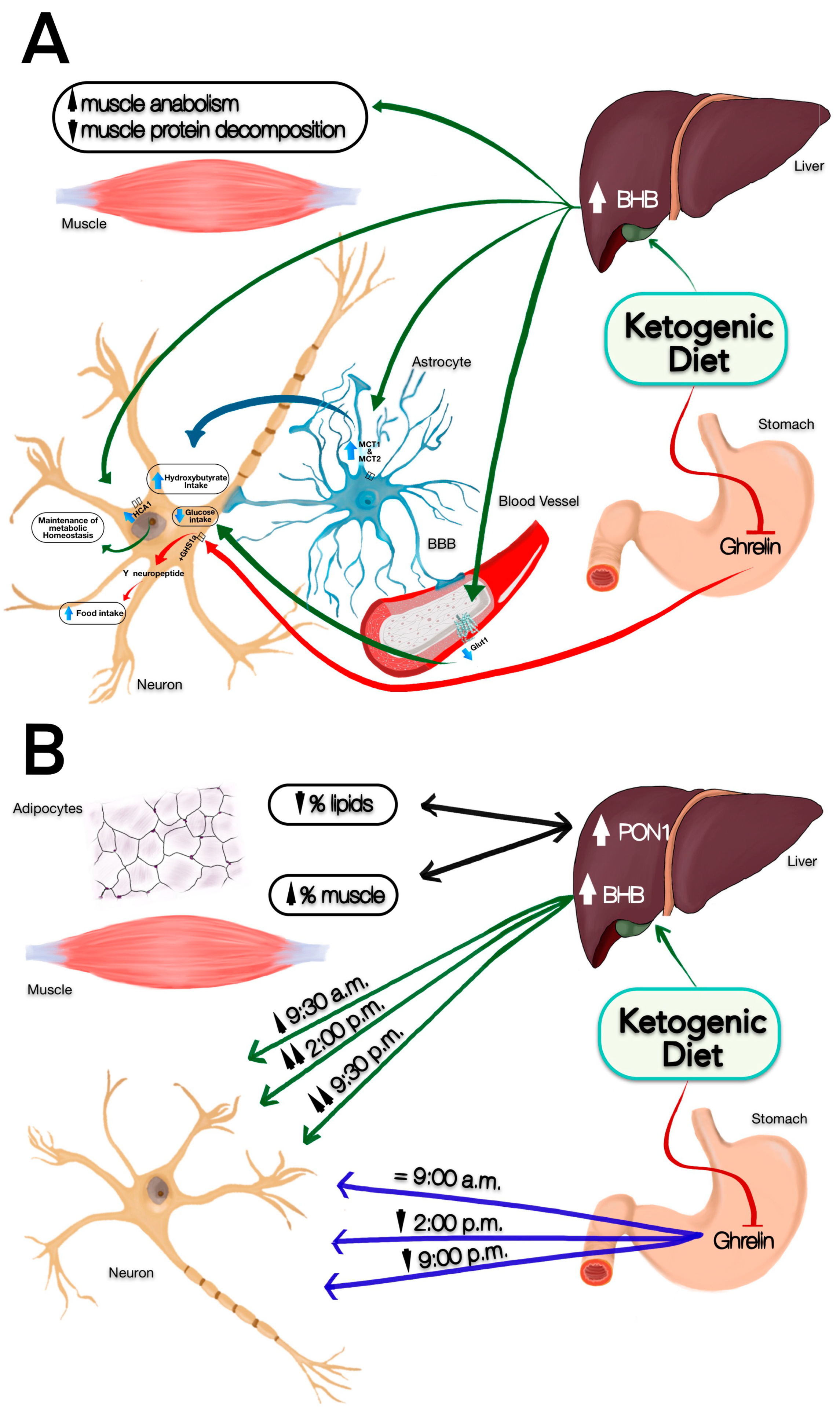 Nutrients 11 01156 g002