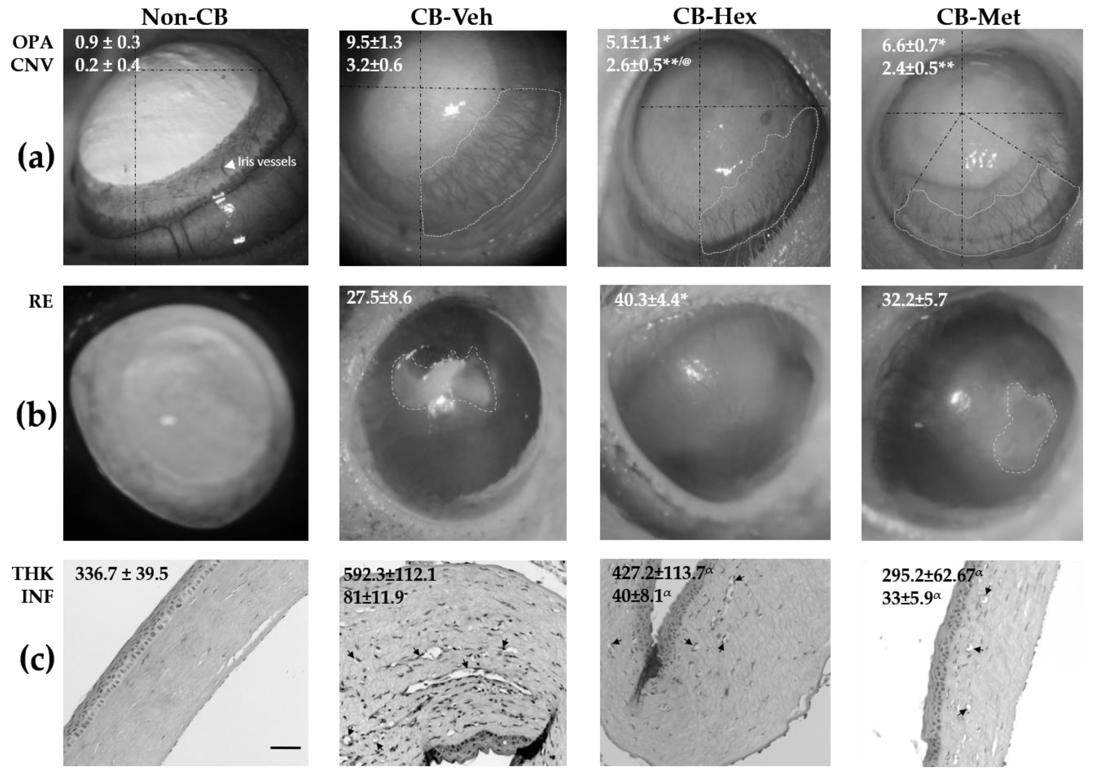 Nutrients 11 01184 g001