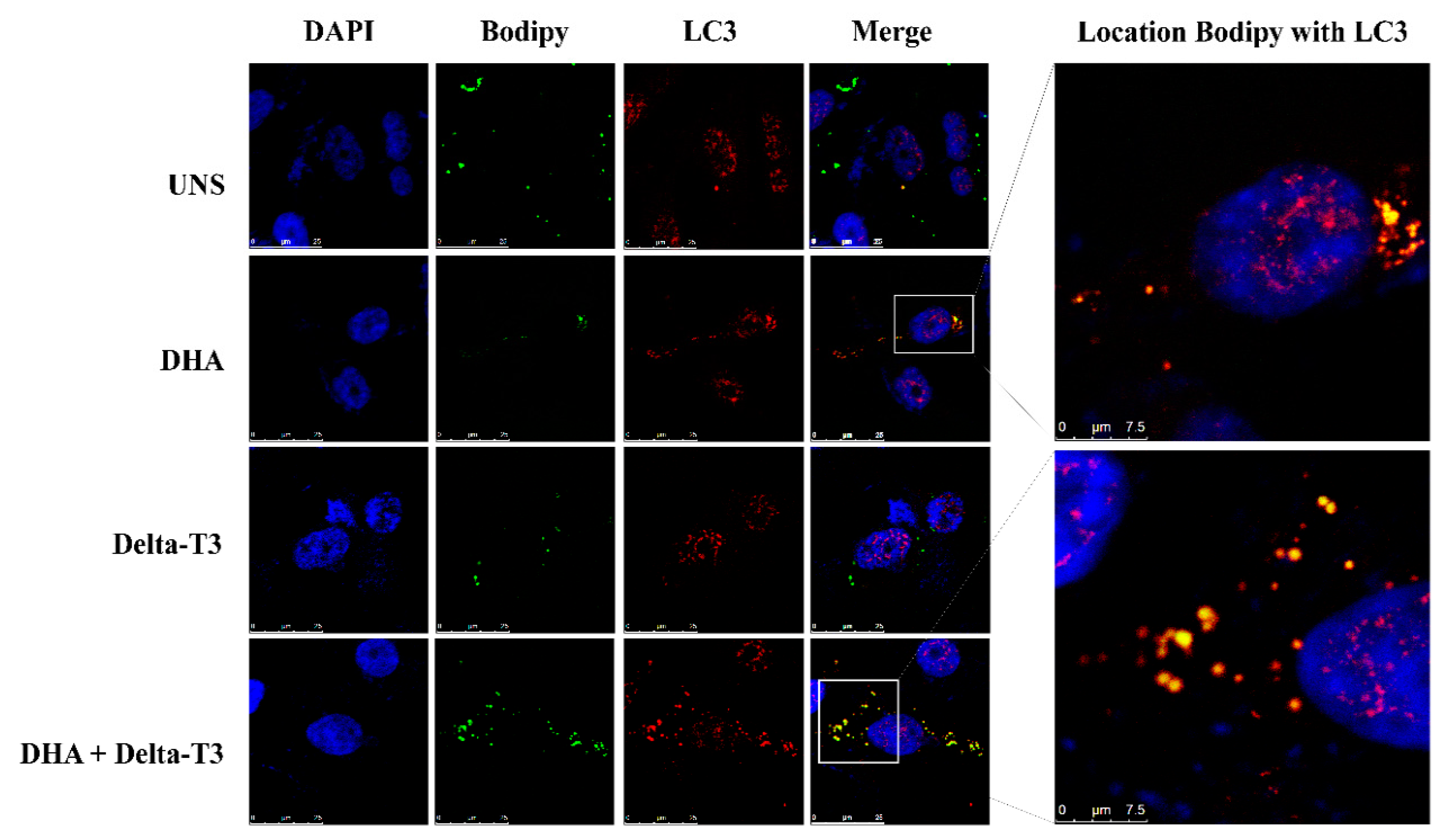 Nutrients 11 01199 g005
