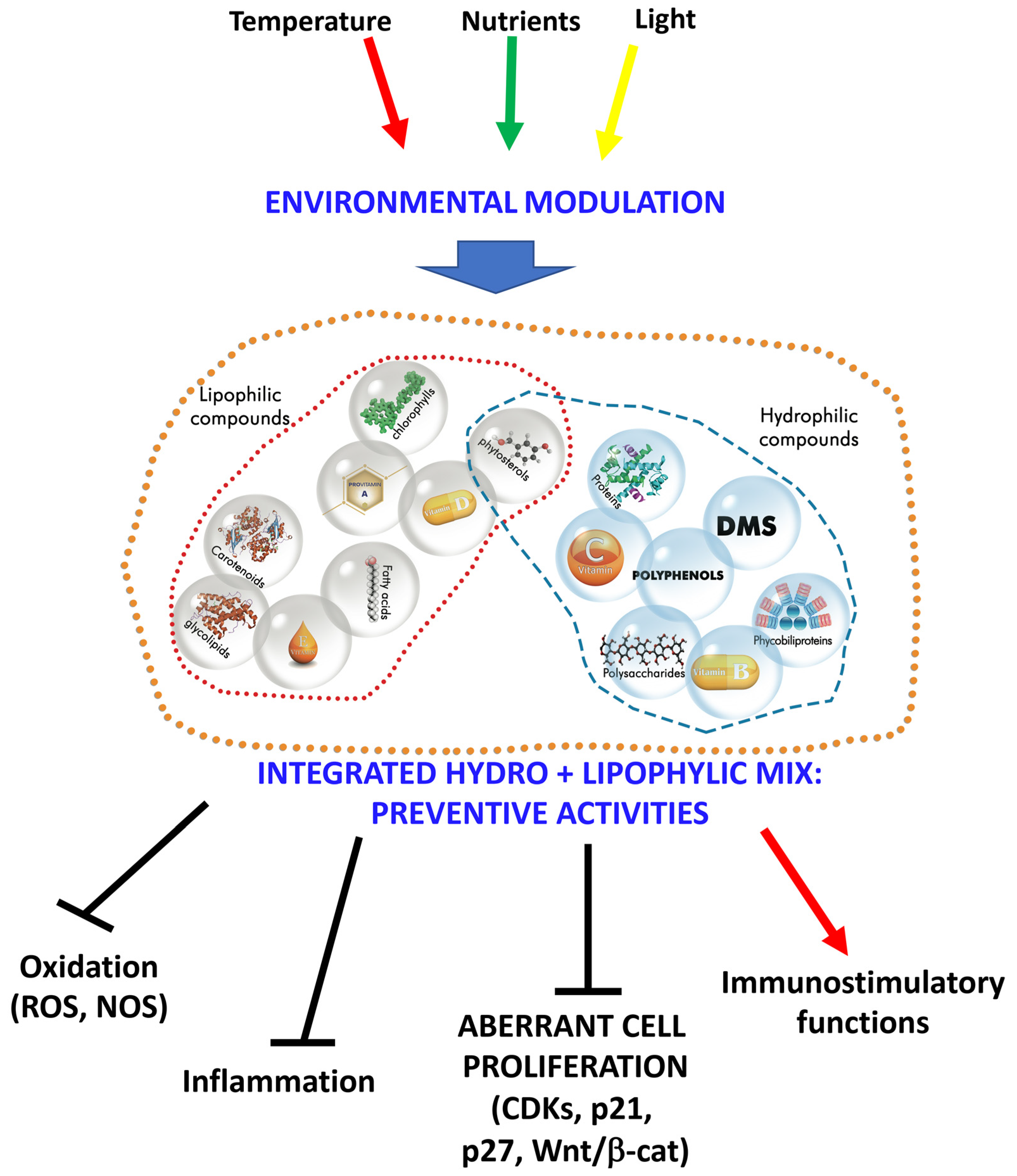 Nutrients 11 01226 g001