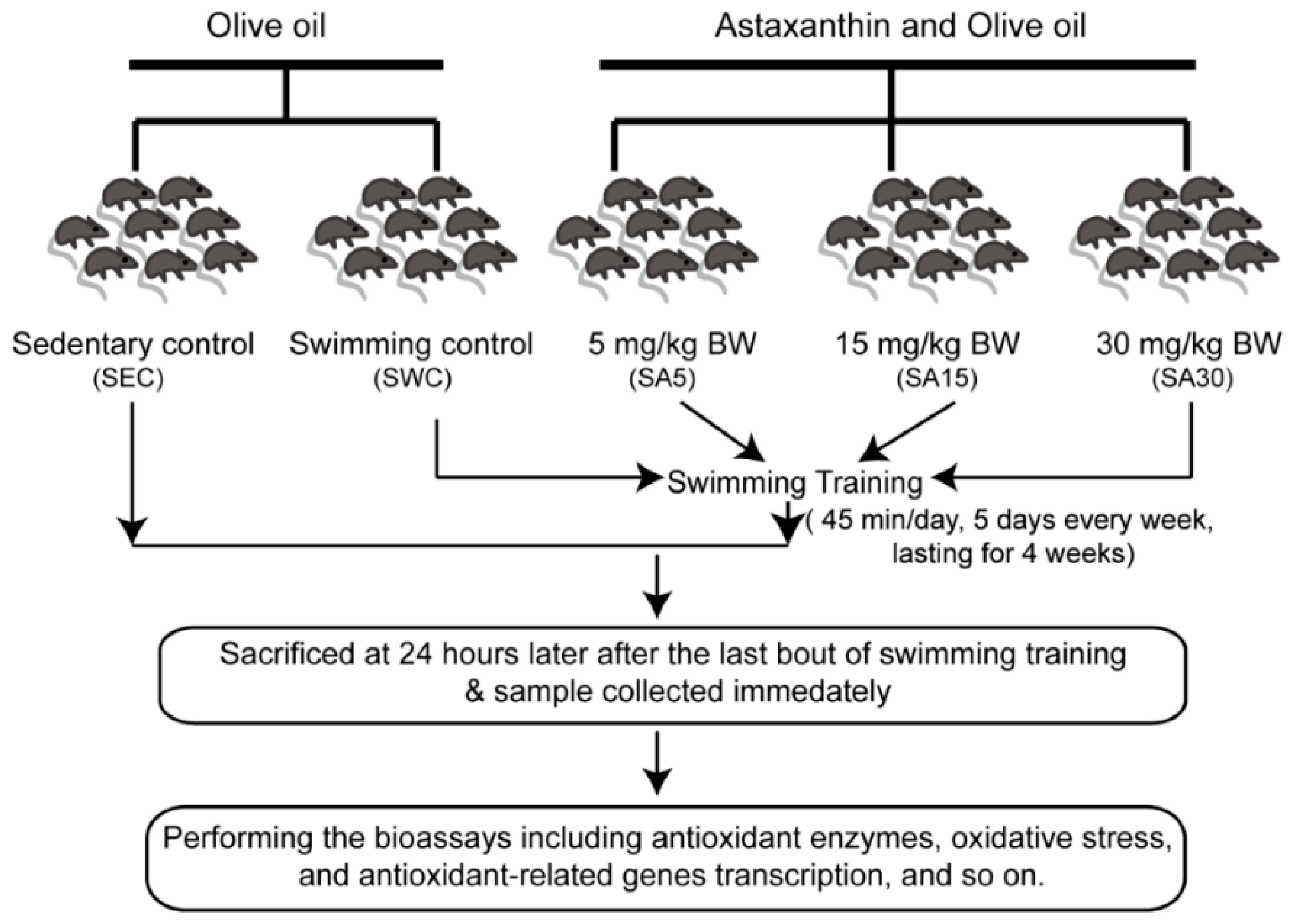 Nutrients 11 01244 g001 Nutrients 11 01244 g001
