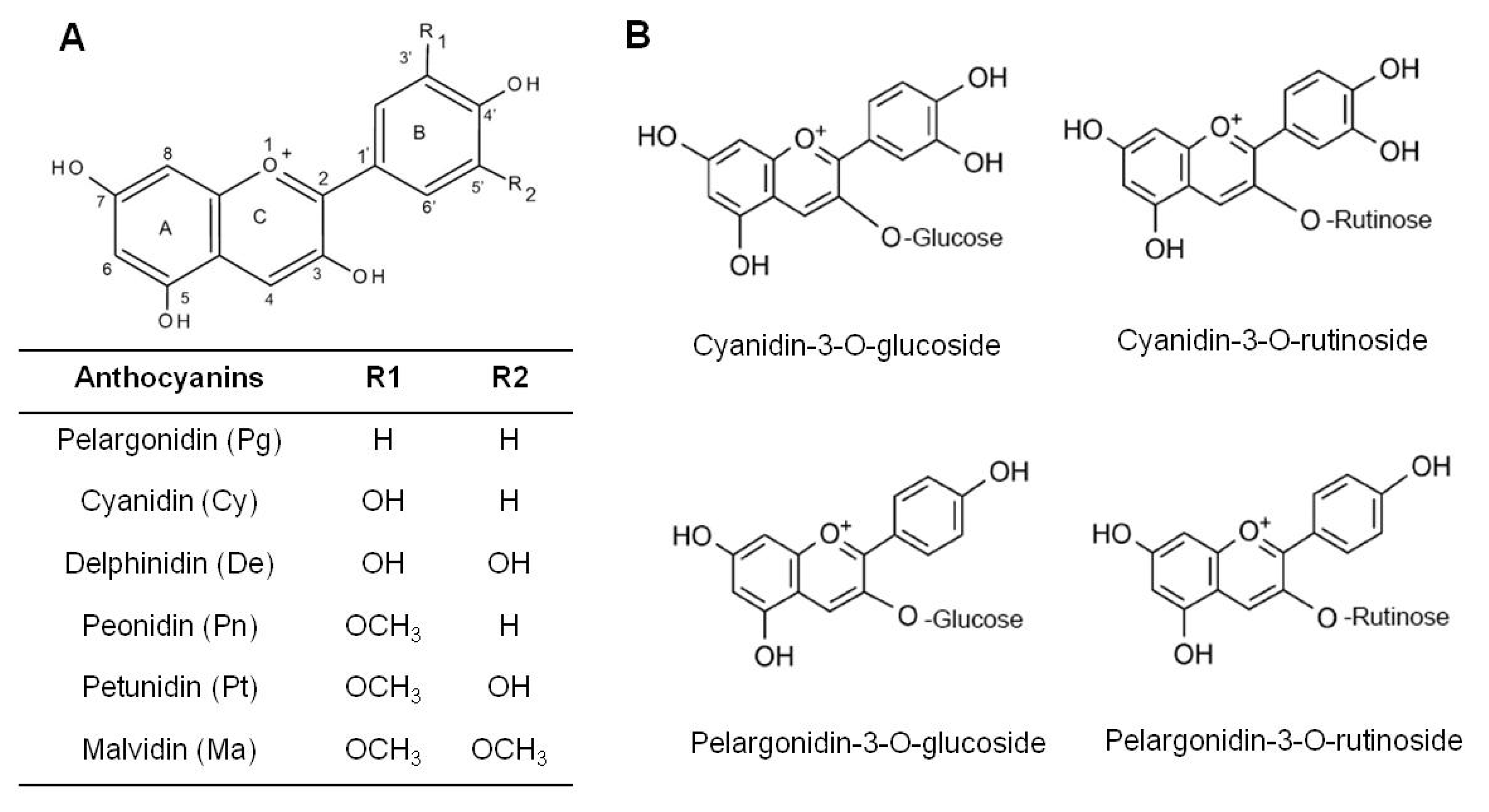 Nutrients 11 01261 g002
