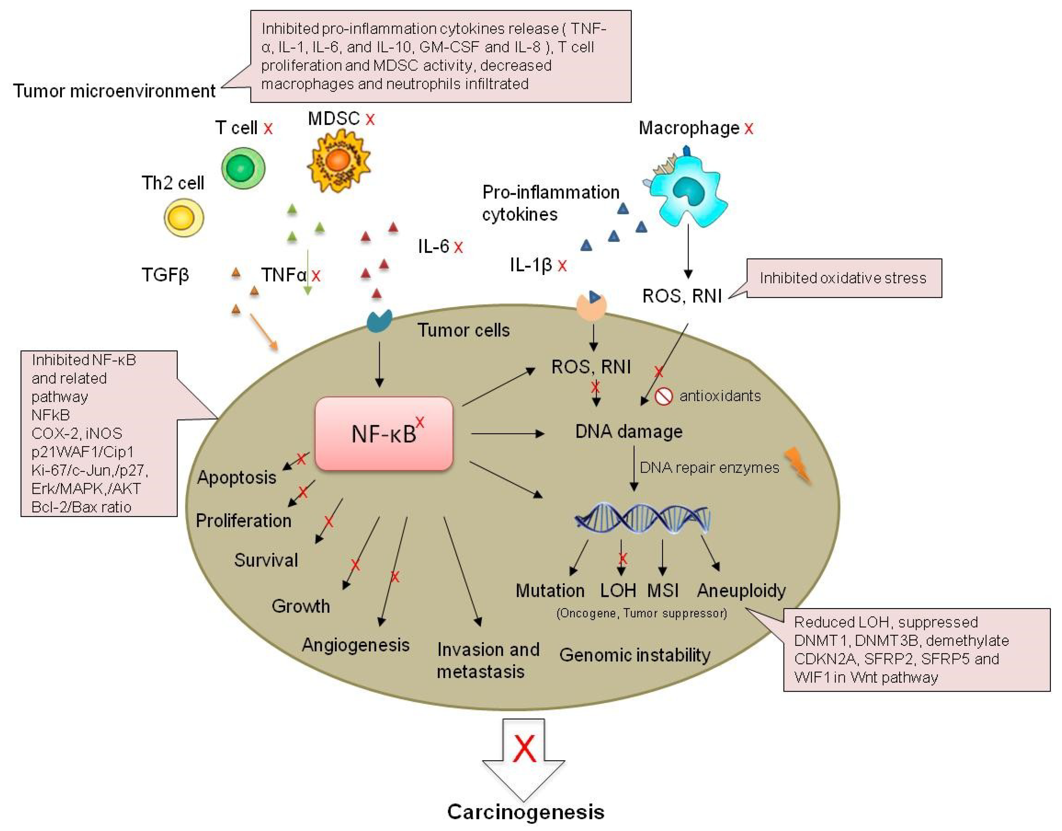 Nutrients 11 01261 g003