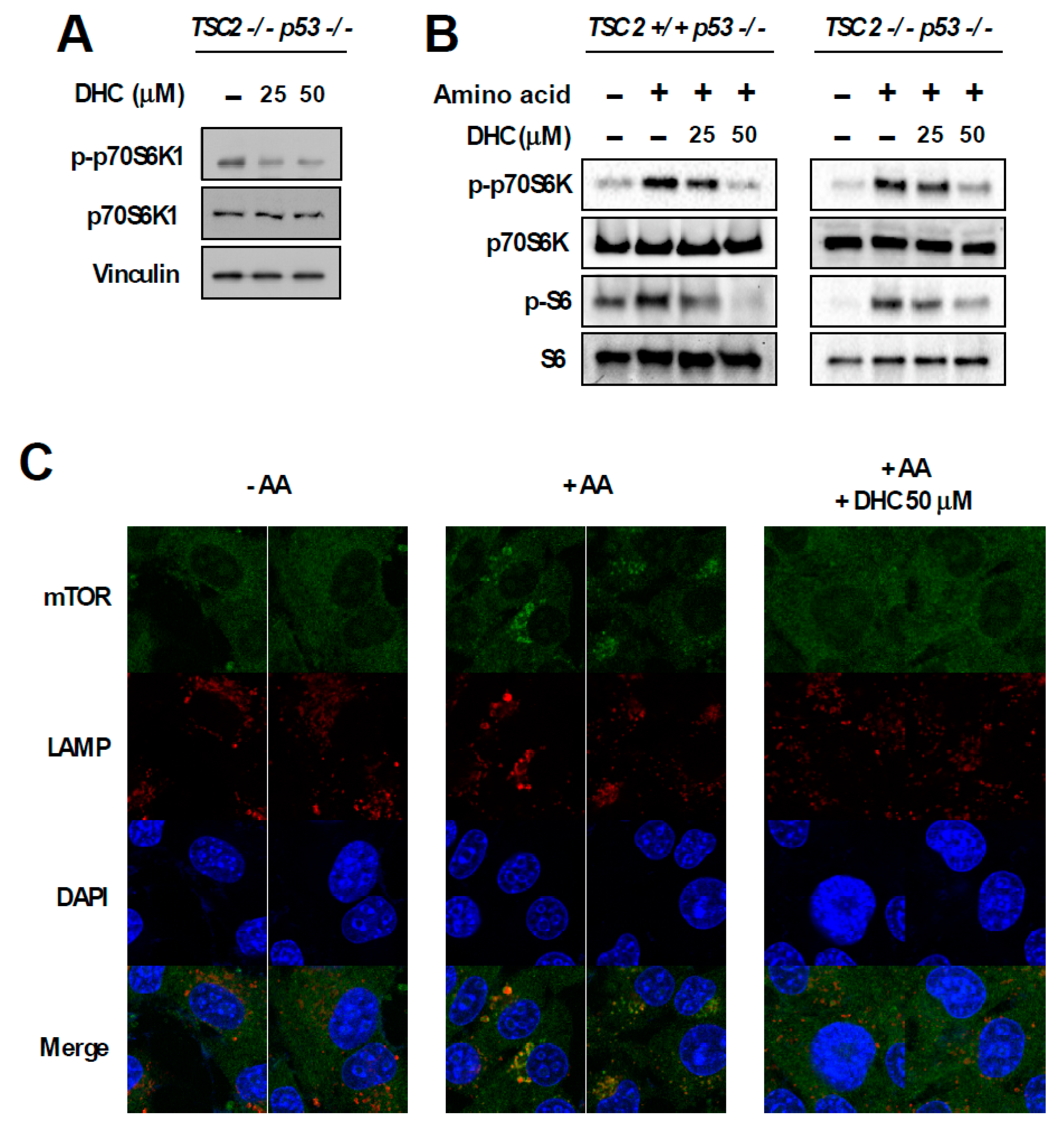 Nutrients 11 01269 g004a