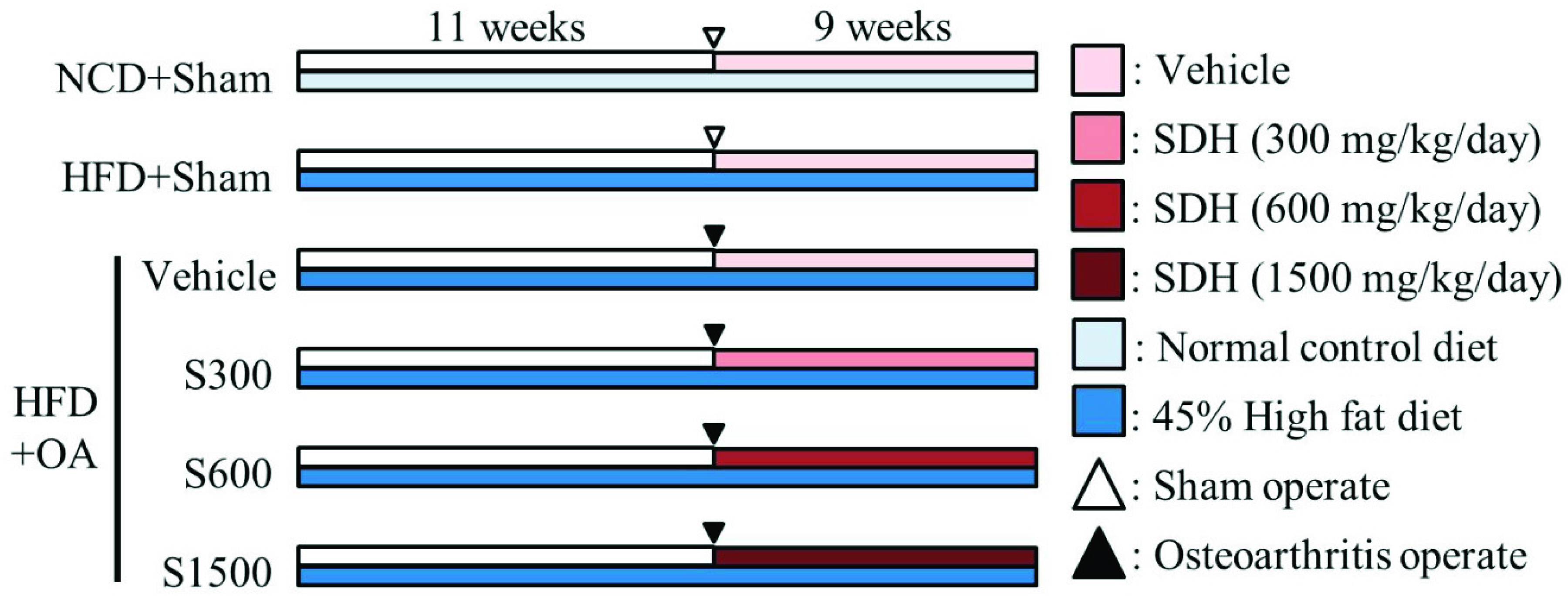Nutrients 11 01312 g001