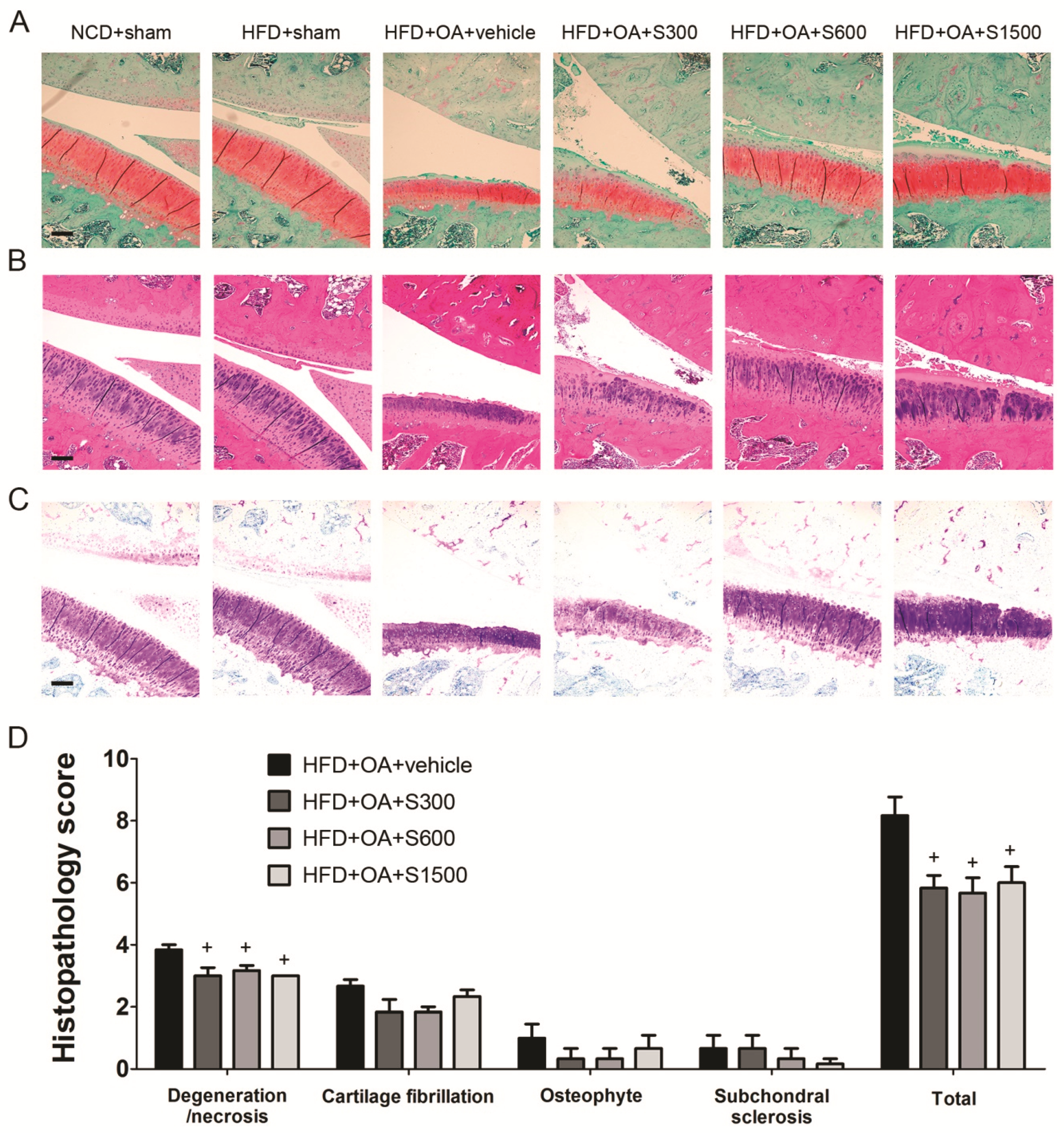 Nutrients 11 01312 g006