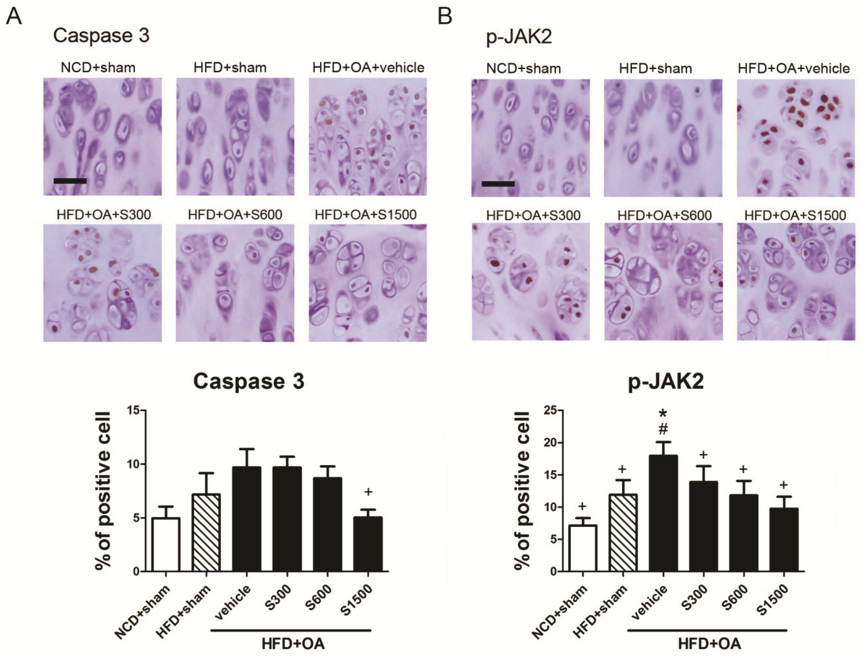 Nutrients 11 01312 g007