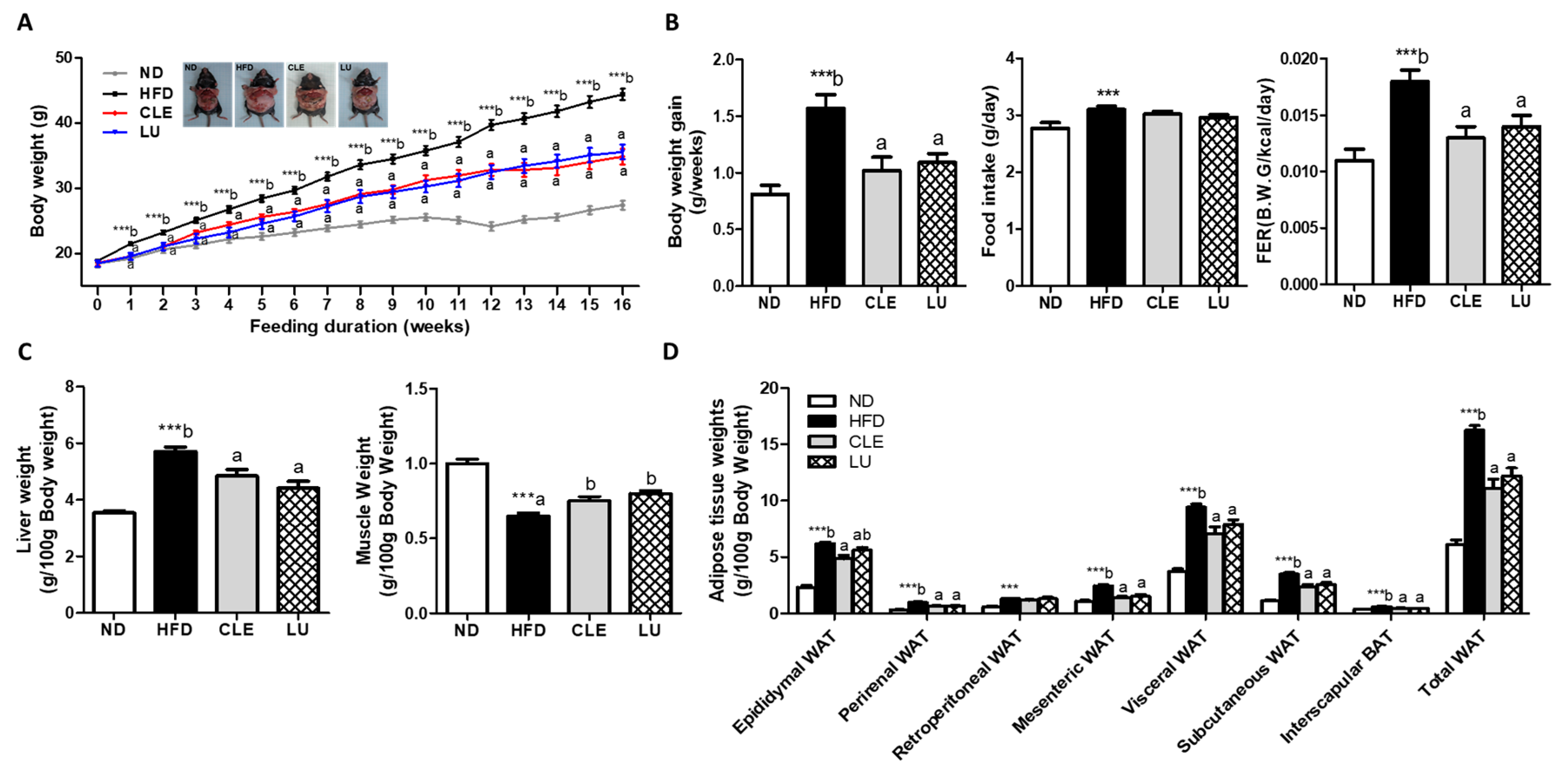 Nutrients 11 01347 g001