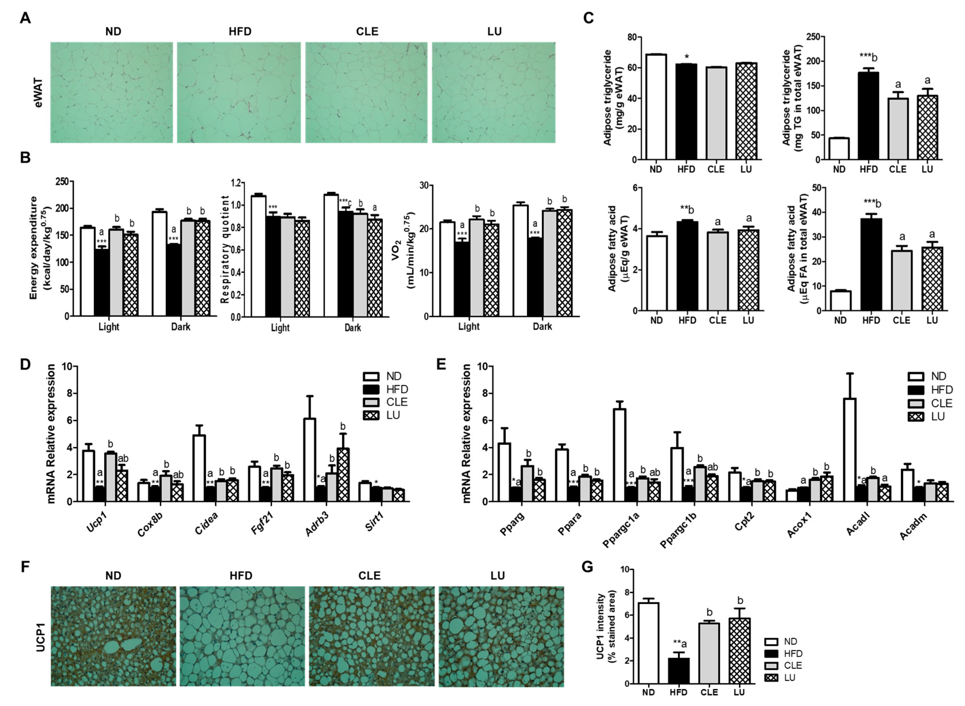 Nutrients 11 01347 g002