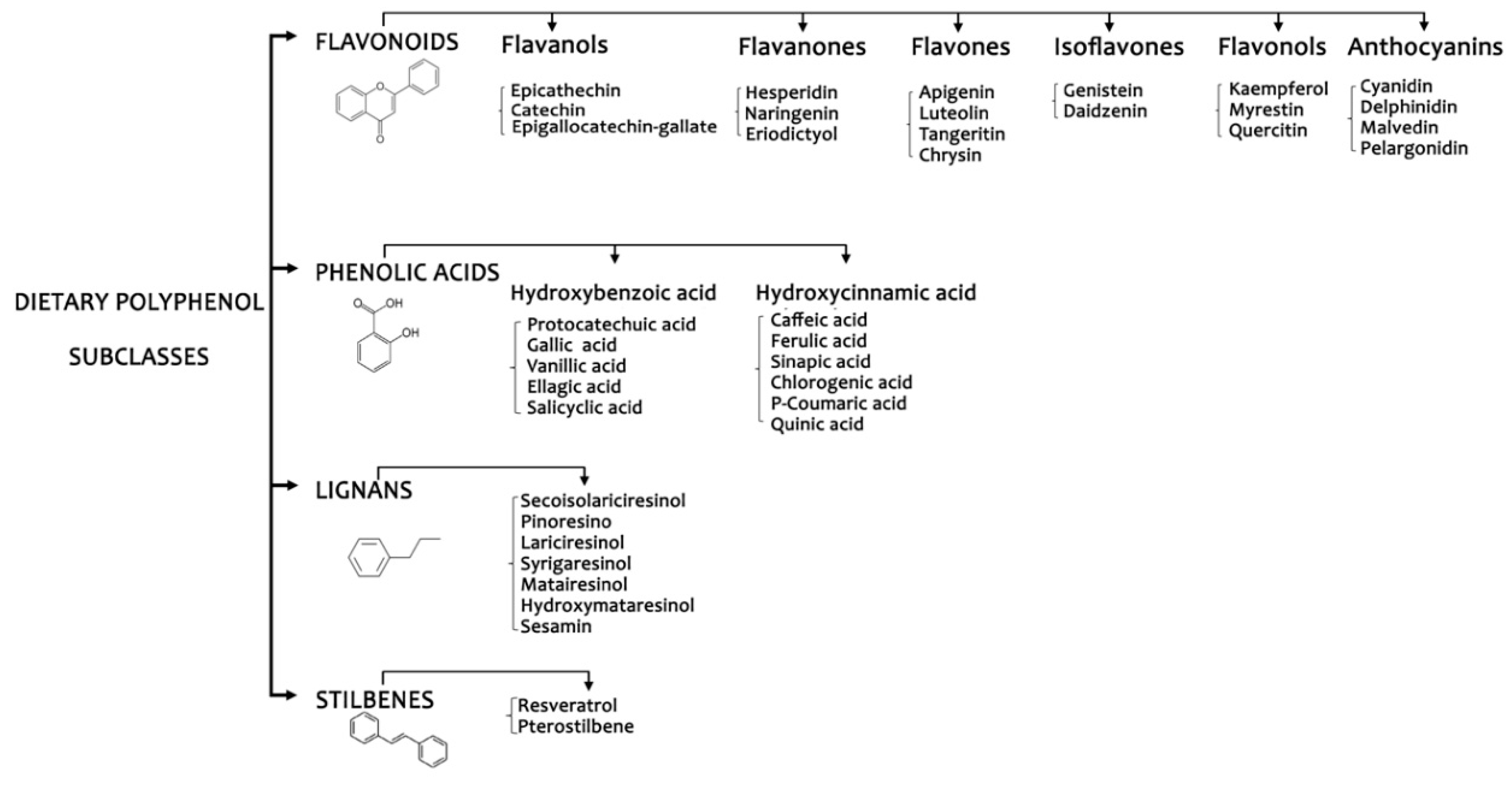 Nutrients 11 01355 g001