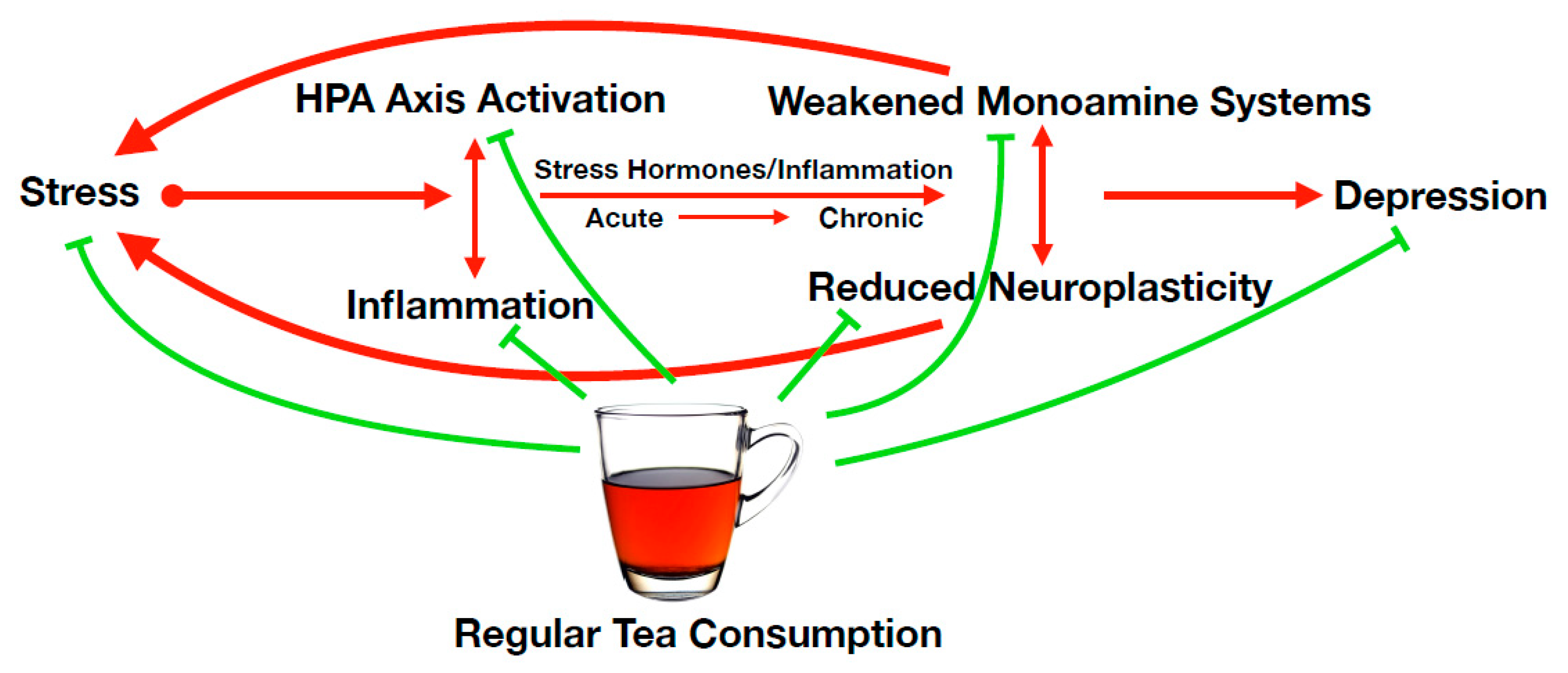 Nutrients 11 01361 g001