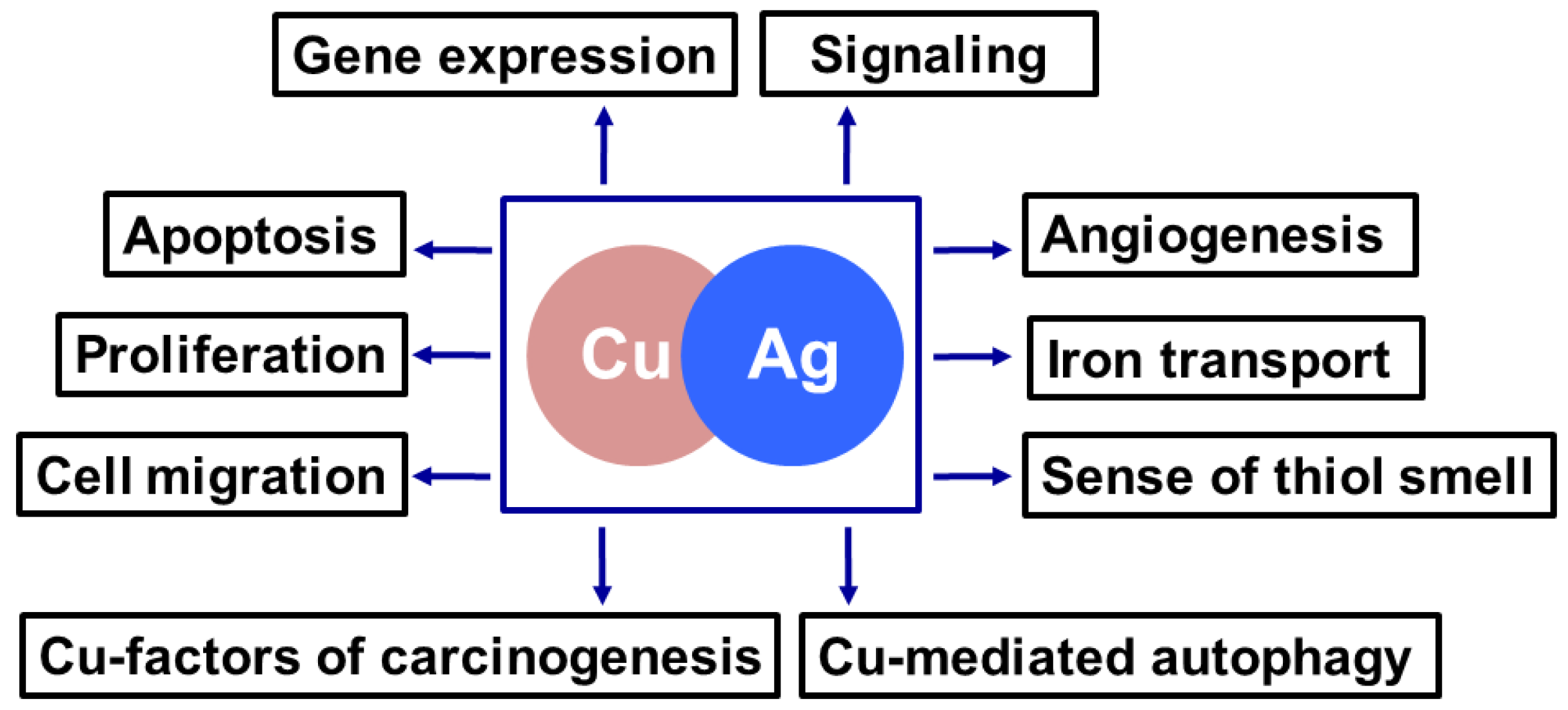 Nutrients 11 01364 g002