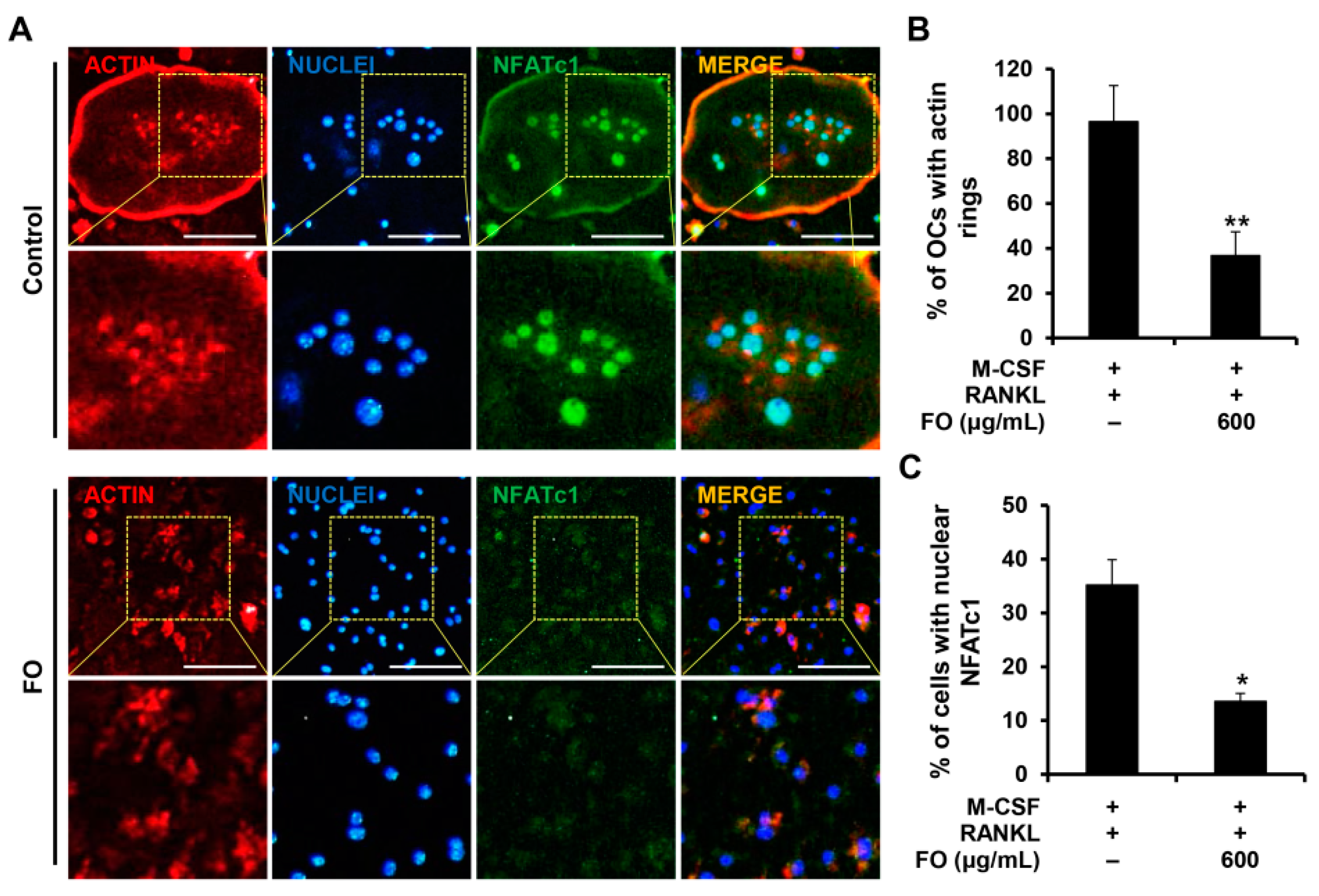 Nutrients 11 01392 g004