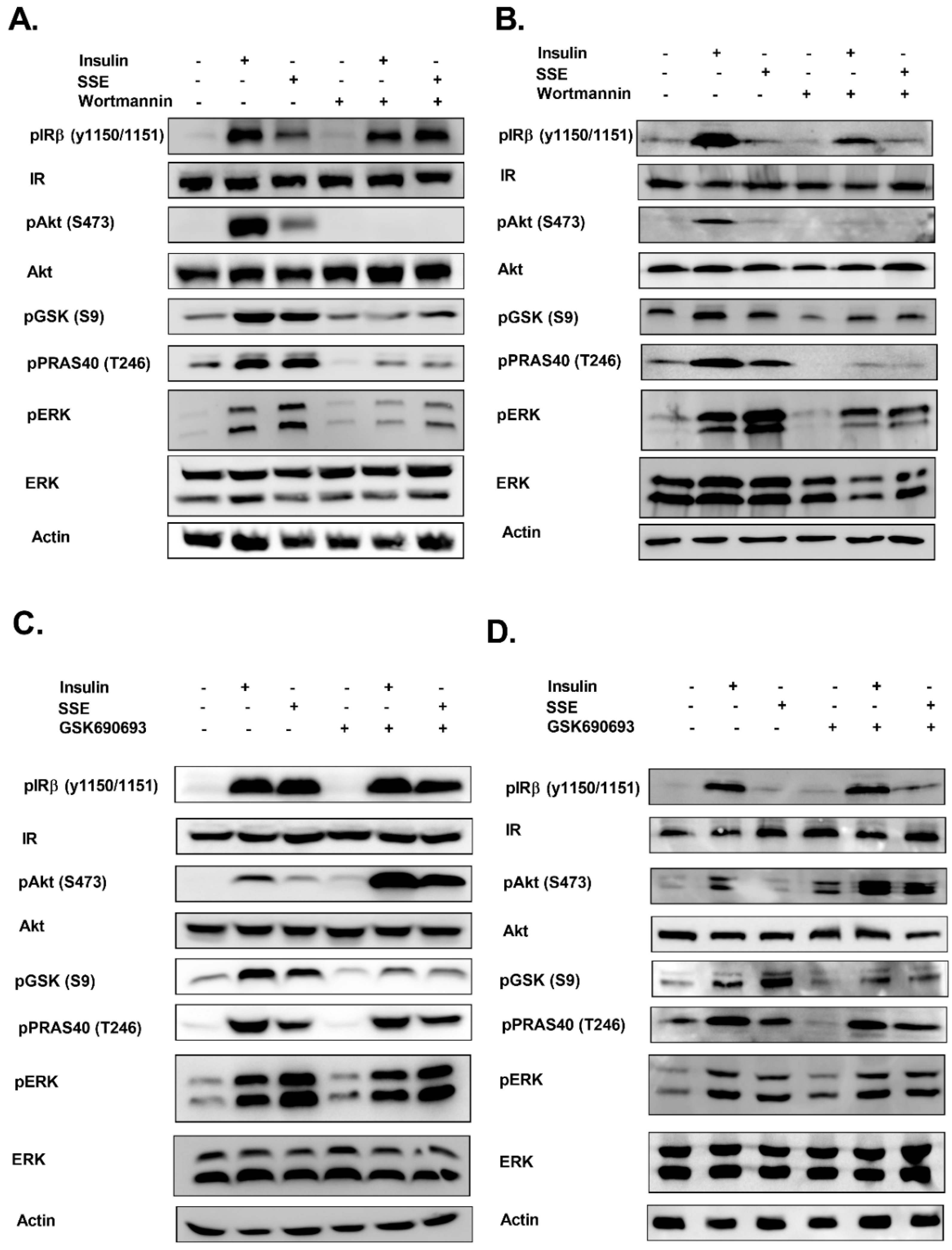 Nutrients 11 01396 g006