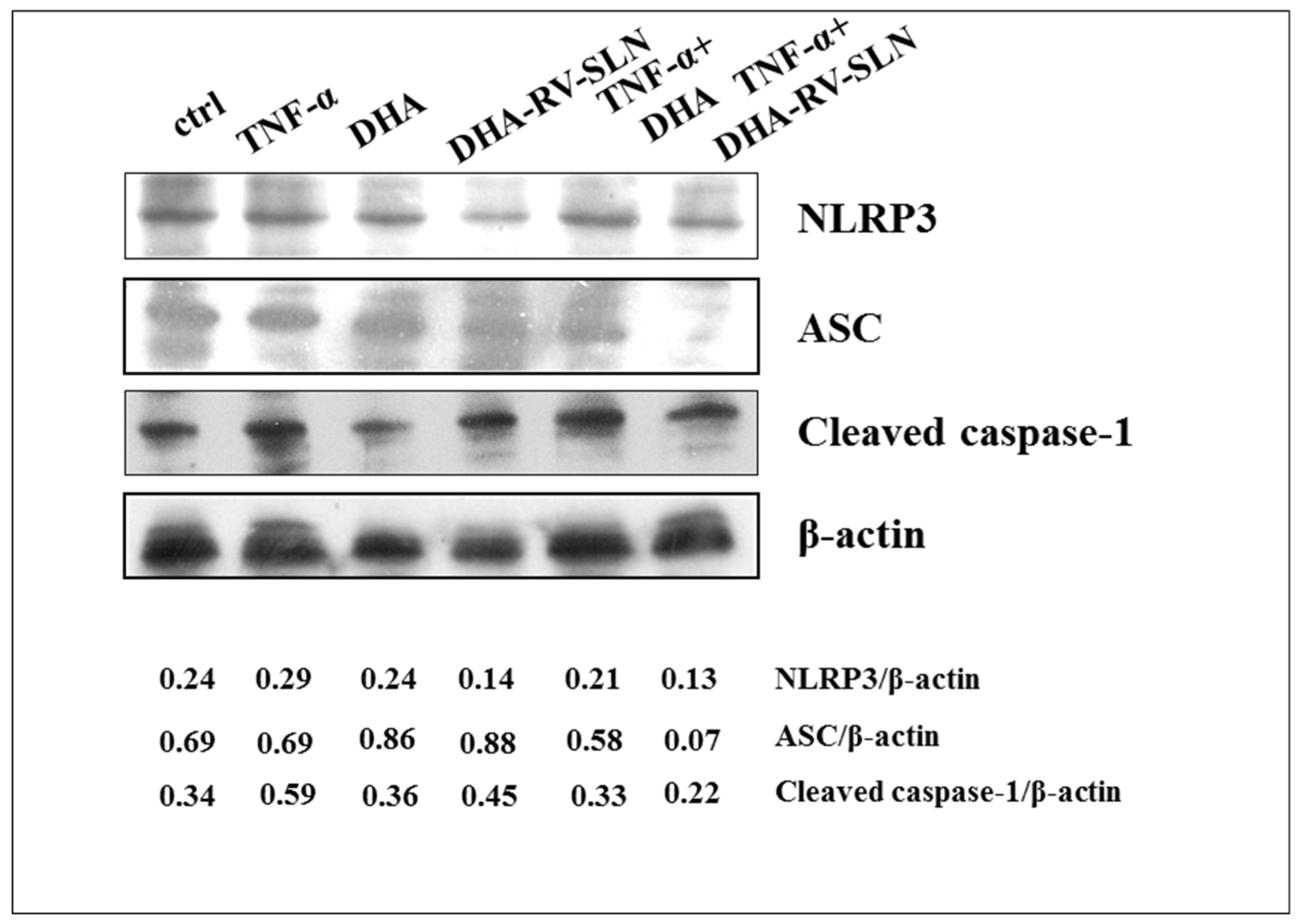 Nutrients 11 01400 g007