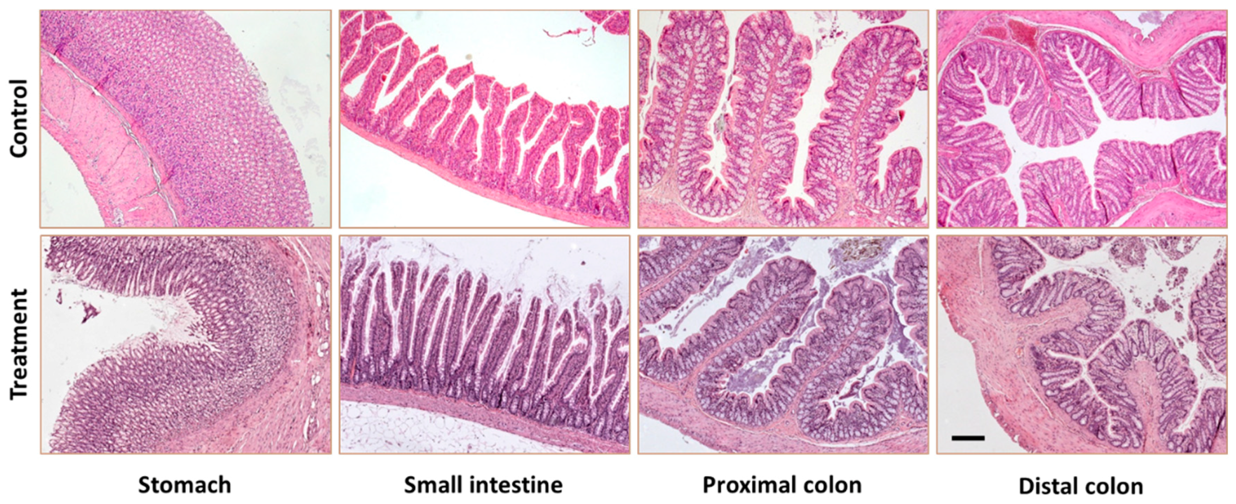 Nutrients 11 01411 g003