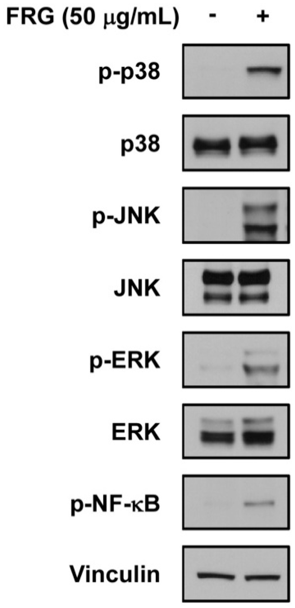 Nutrients 11 01481 g005
