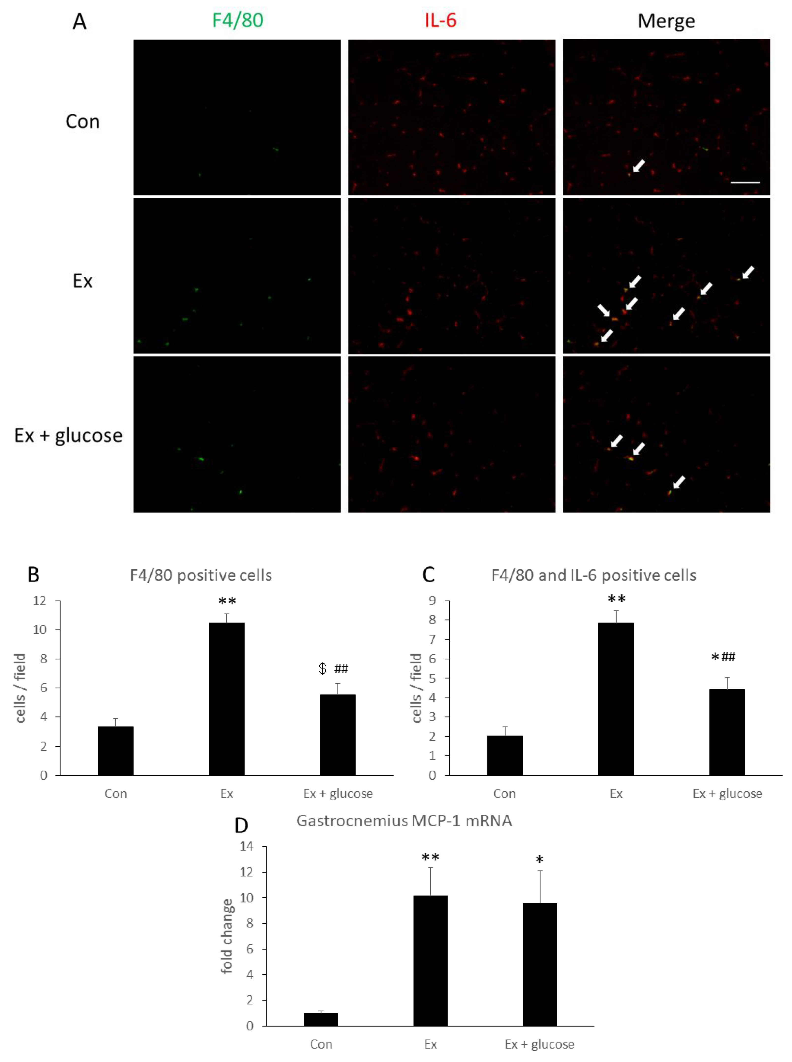 Nutrients 11 01496 g004