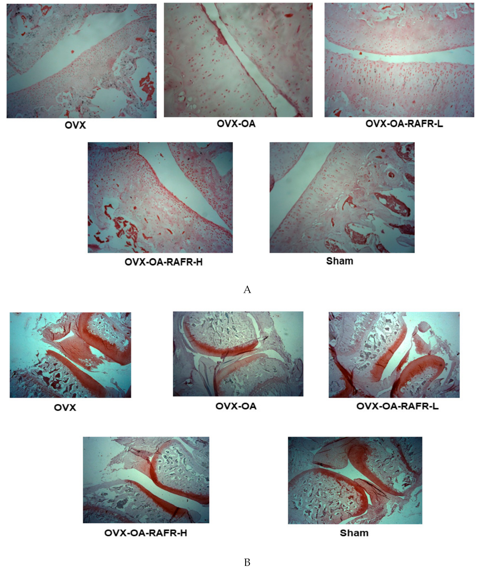 Nutrients 11 01503 g006a