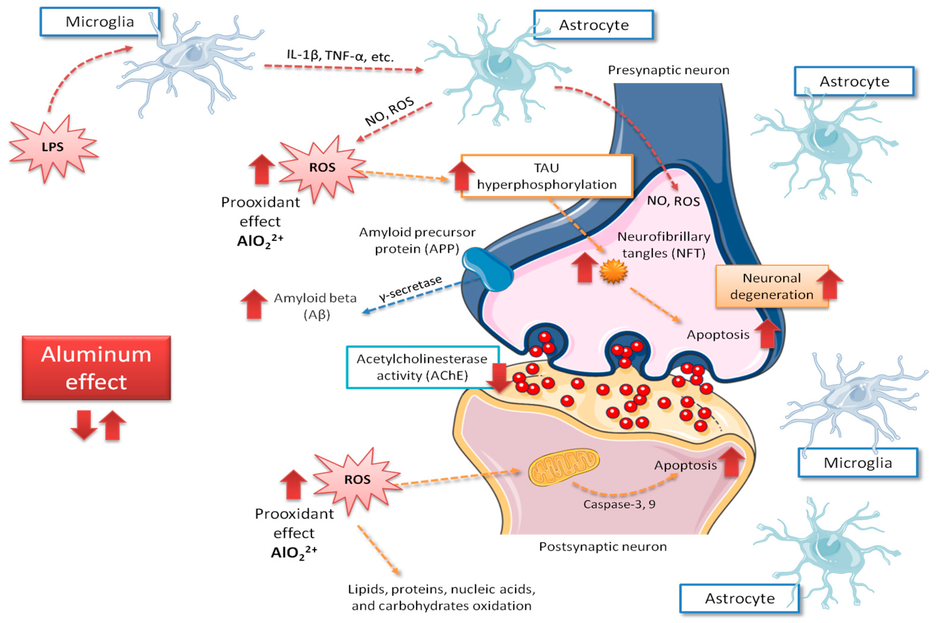 Nutrients 11 01558 g001