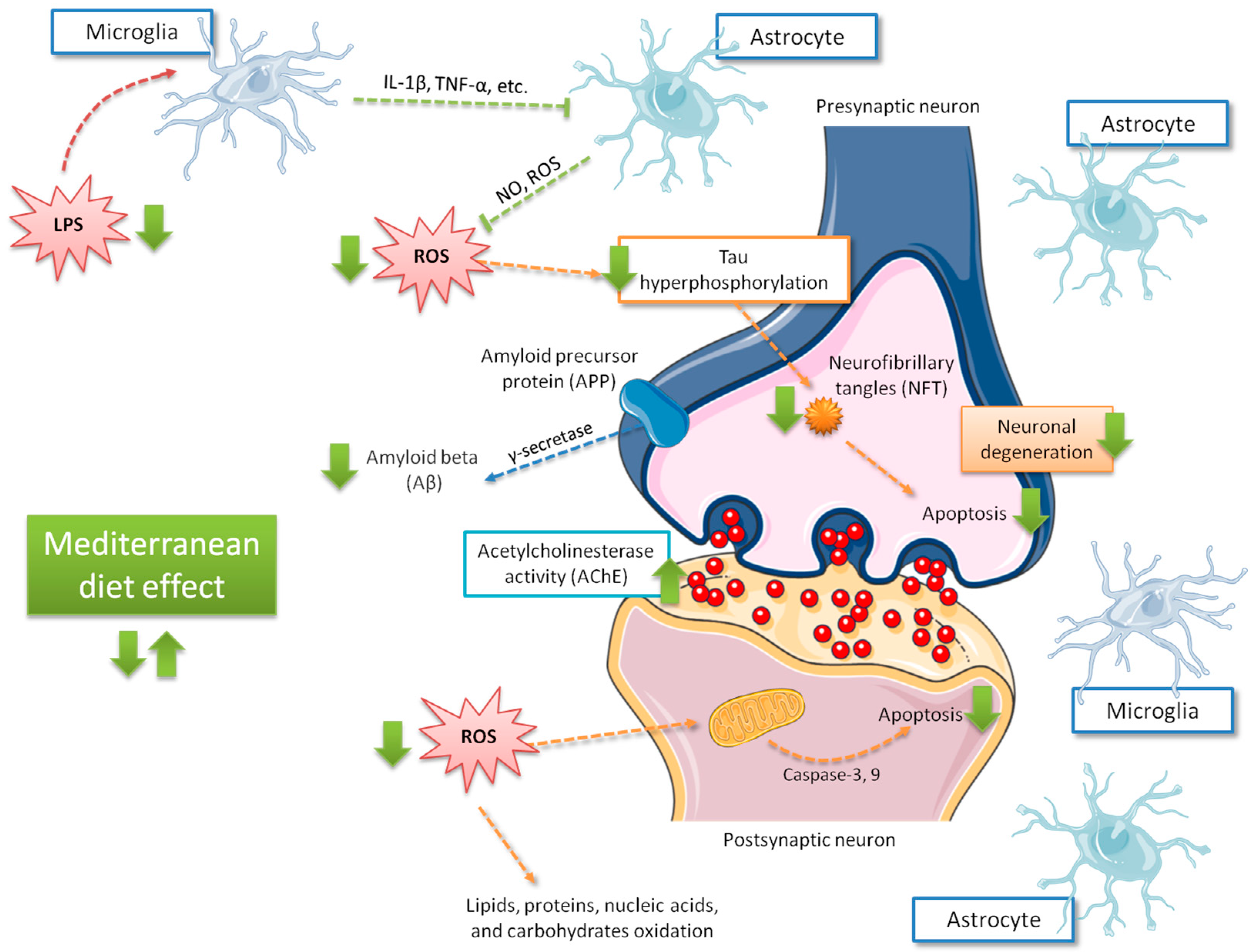 Nutrients 11 01558 g003